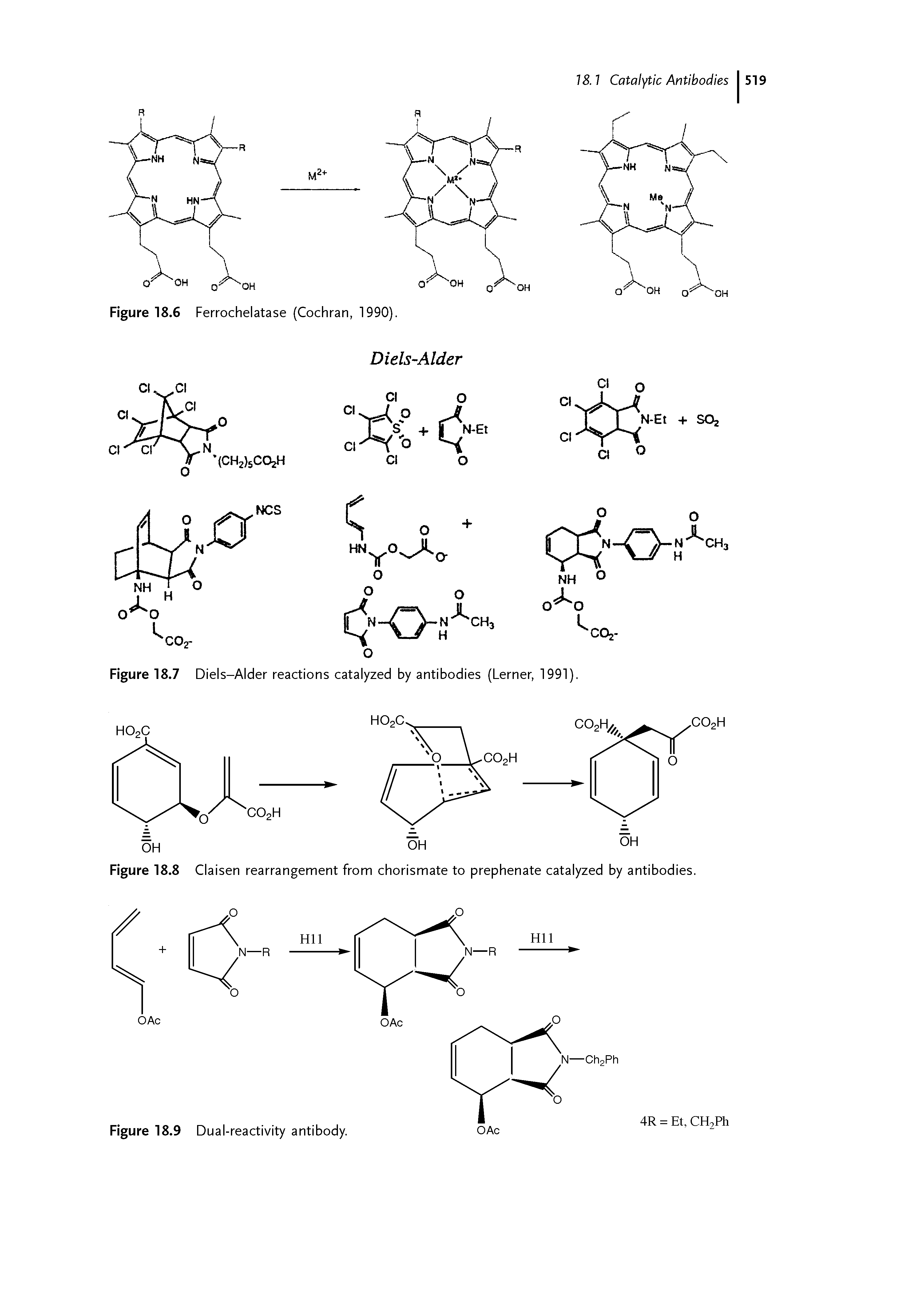 Figure 18.7 Diels-Alder reactions catalyzed by antibodies (Lerner, 1991).