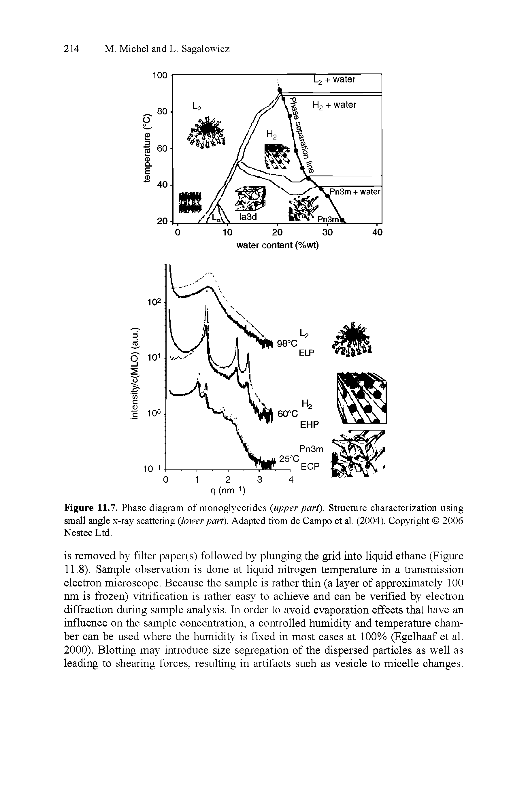 Figure 11.7. Phase diagram of monoglycerides (upper part). Structure characterization using small angle x-ray scattering (lowerpart). Adapted from de Campo et al. (2004). Copyright 2006 Nestec Ltd.