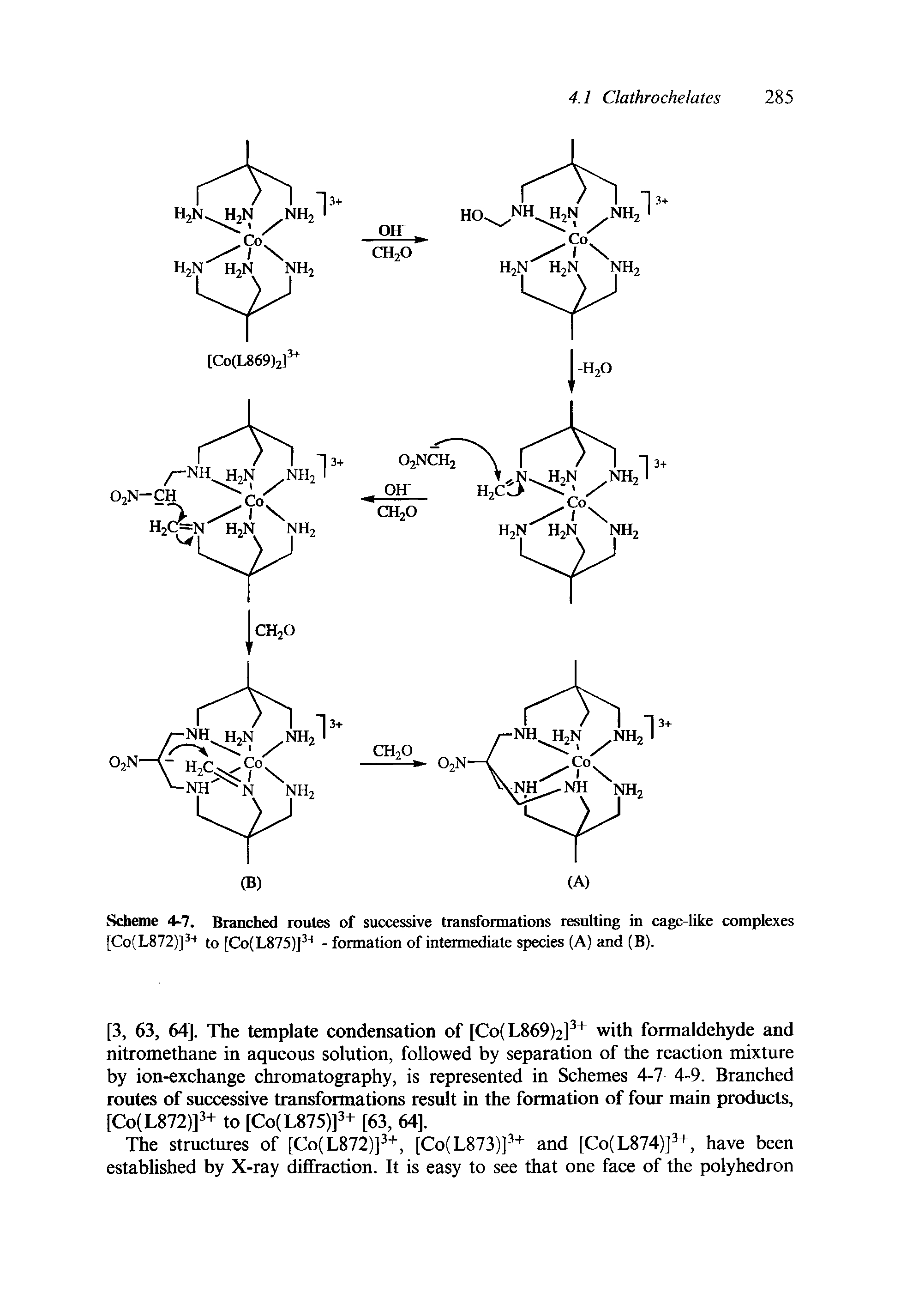 Scheme 4-7. Branched routes of successive transformations resulting in cage-like complexes [Co(L872)] + to [Co(L875)] - formation of intermediate species (A) and (B).
