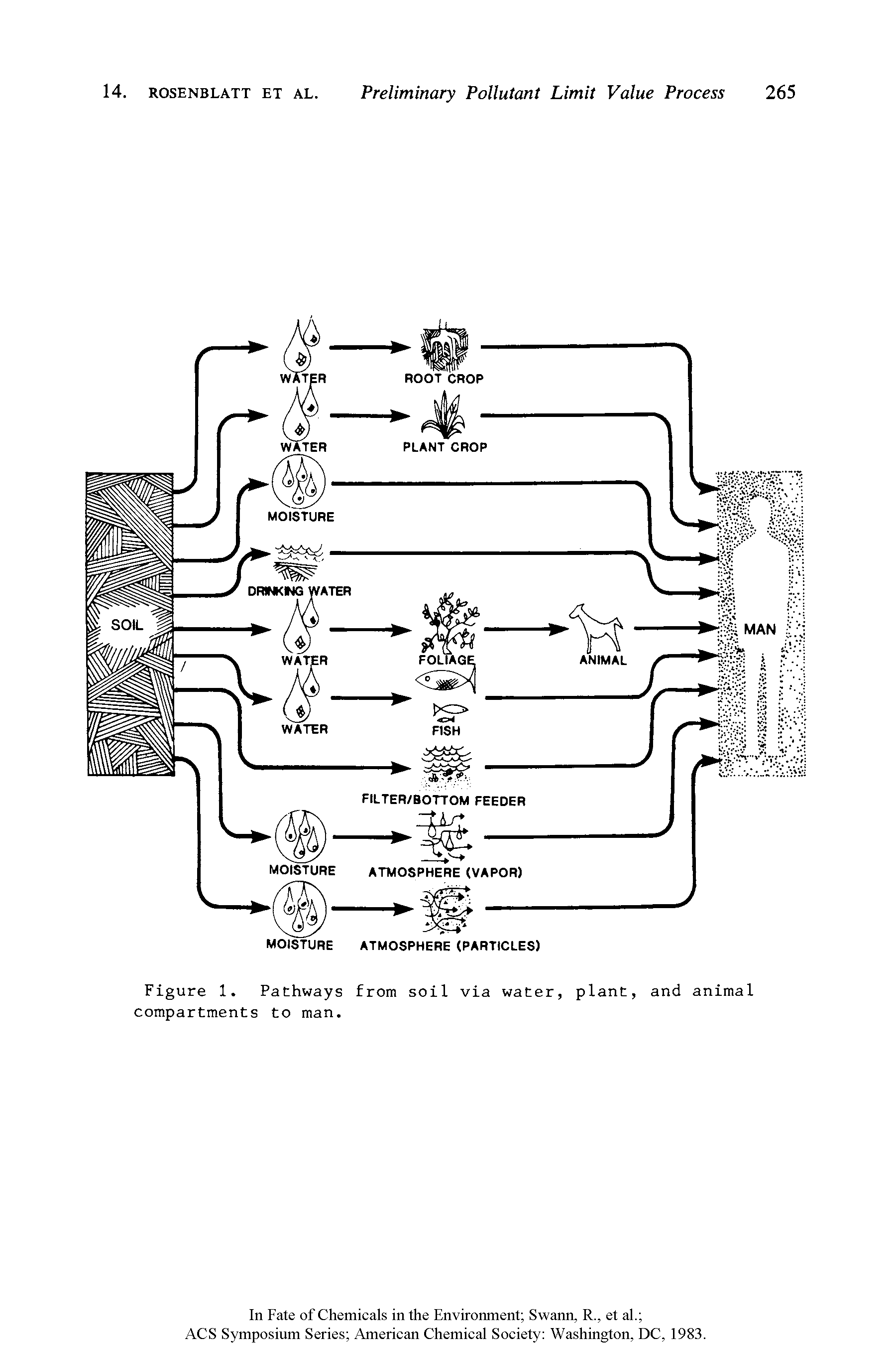 Figure 1. Pathways from soil via water, plant, and animal compartments to man.