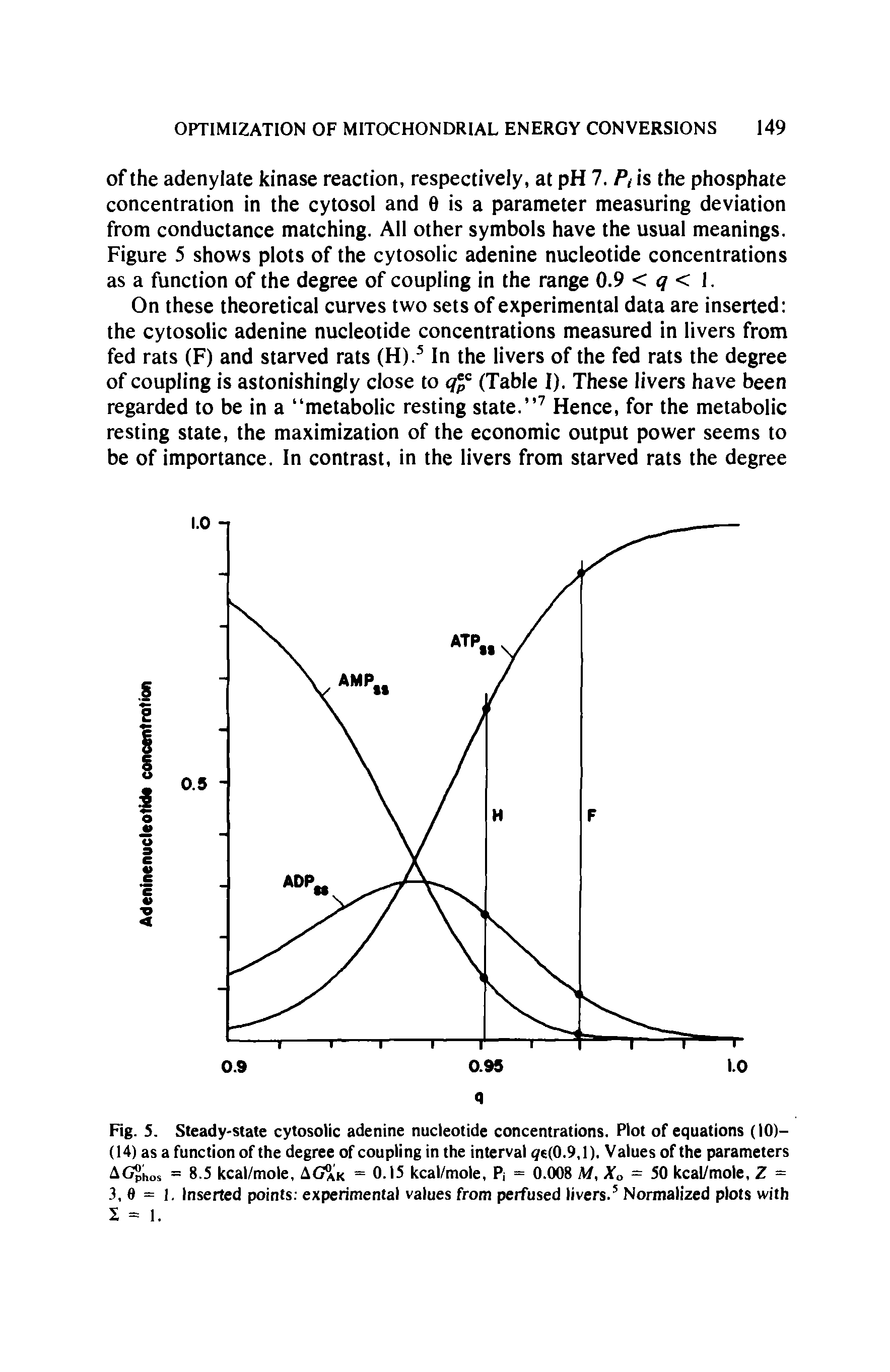 Fig. 5. Steady-state cytosolic adenine nucleotide concentrations. Plot of equations (10)-(14) as a function of the degree of coupling in the interval qe(0.9,l). Values of the parameters AGj hos = 8.5 kcal/mole, AGak = 0.15 kcal/mole, Pj = 0.008 M, Xa = 50 kcal/mole, Z = 3, 0 = l. Inserted points experimental values from perfused livers.5 Normalized plots with 2=1.