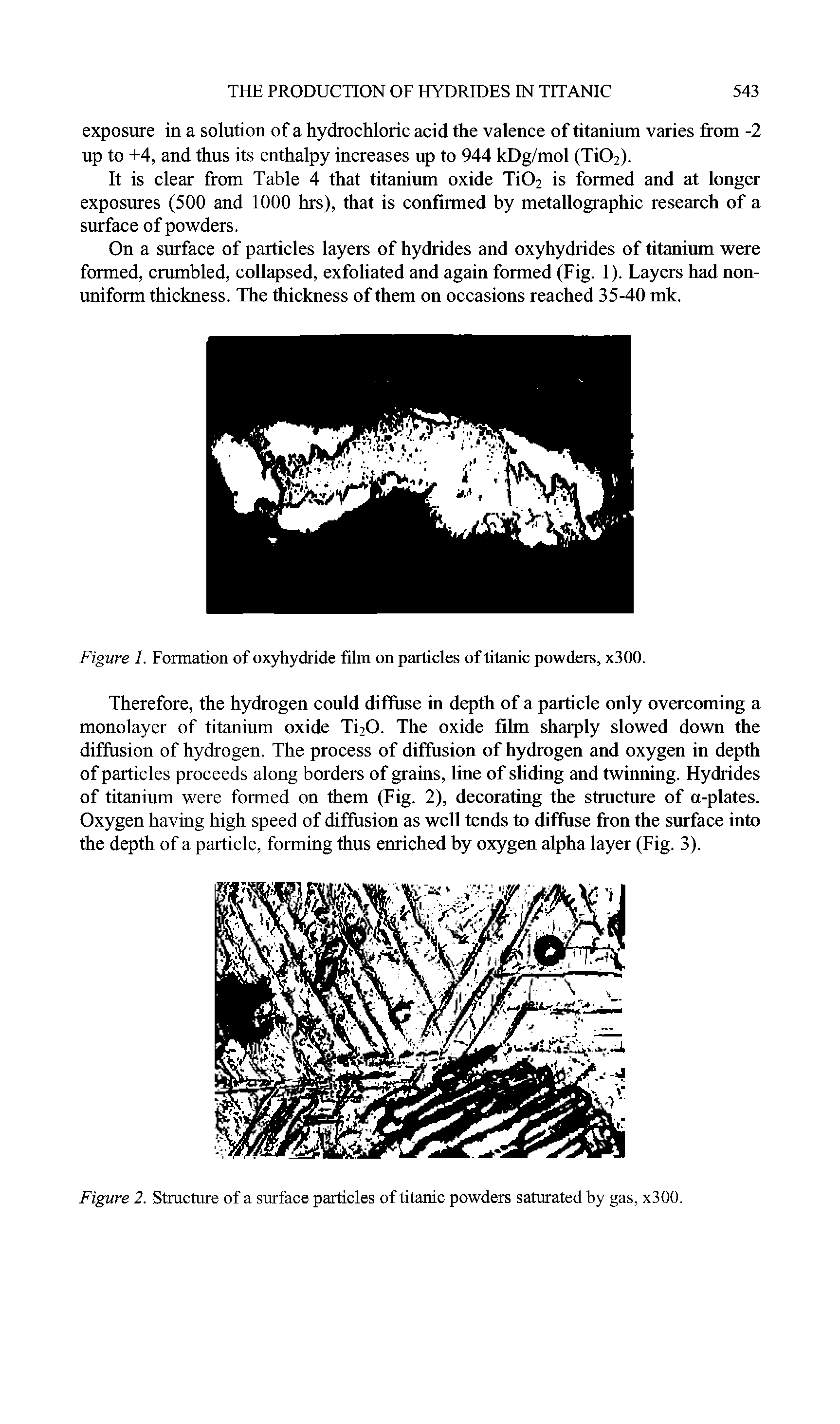 Figure 1. Formation of oxyhydride film on particles of titanic powders, x300.