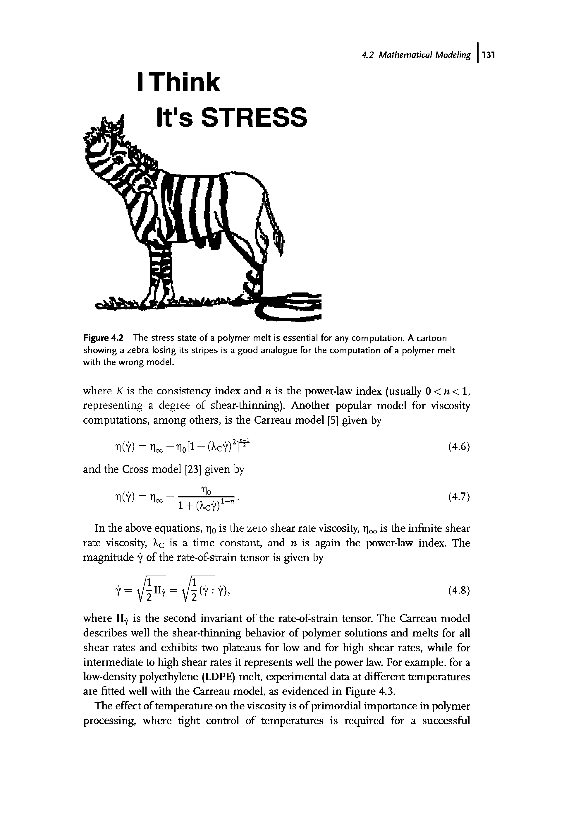 Figure 4.2 The stress state of a polymer melt is essential for any computation. A cartoon showing a zebra losing its stripes is a good analogue for the computation of a polymer melt with the wrong model.