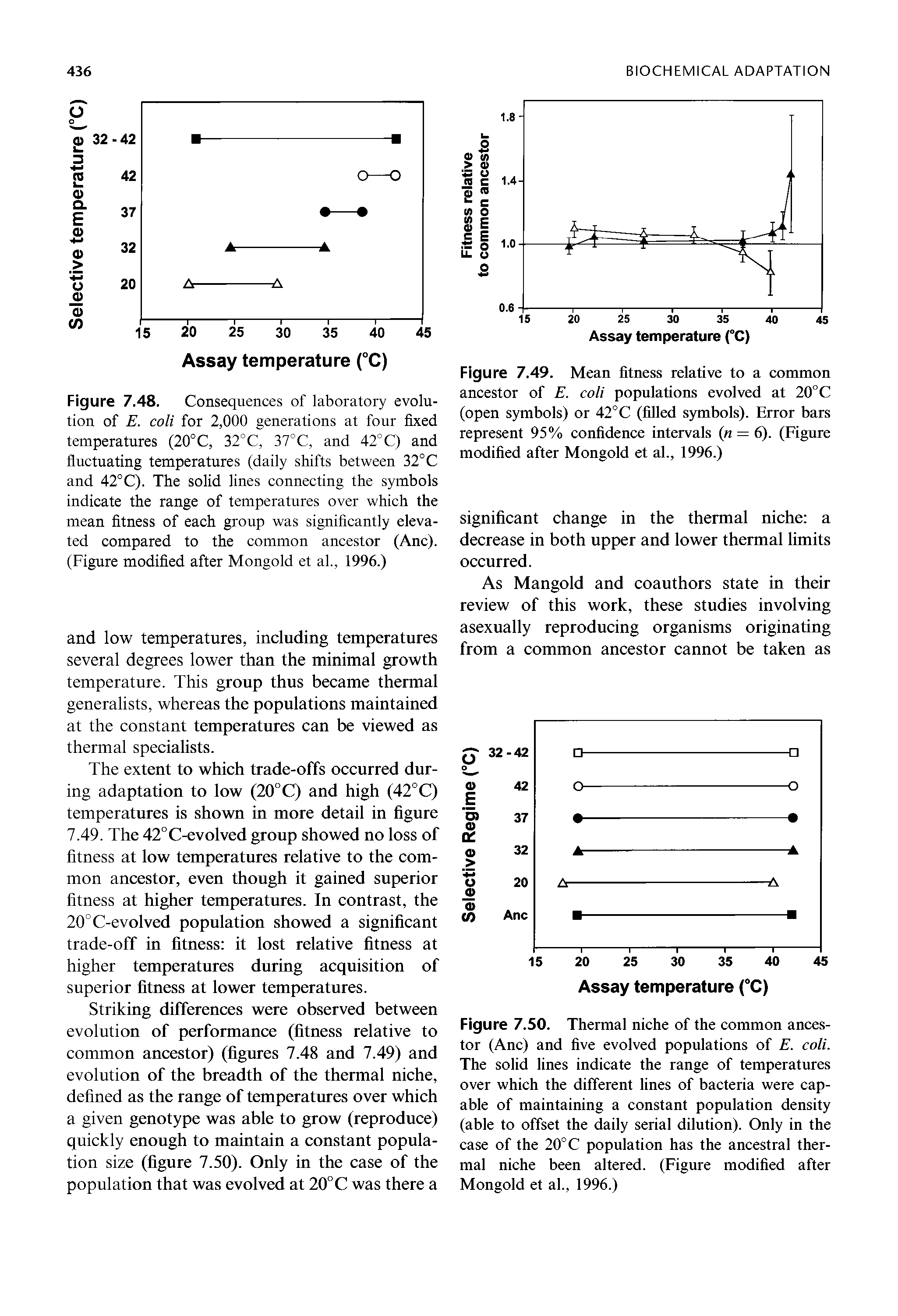 Figure 7.48. Consequences of laboratory evolution of E. coli for 2,000 generations at four fixed temperatures (20°C, 32°C, 37°C, and 42°C) and fluctuating temperatures (daily shifts between 32°C and 42°C). The solid lines connecting the symbols indicate the range of temperatures over which the mean fitness of each group was significantly elevated compared to the common ancestor (Anc). (Figure modified after Mongold et al., 1996.)...