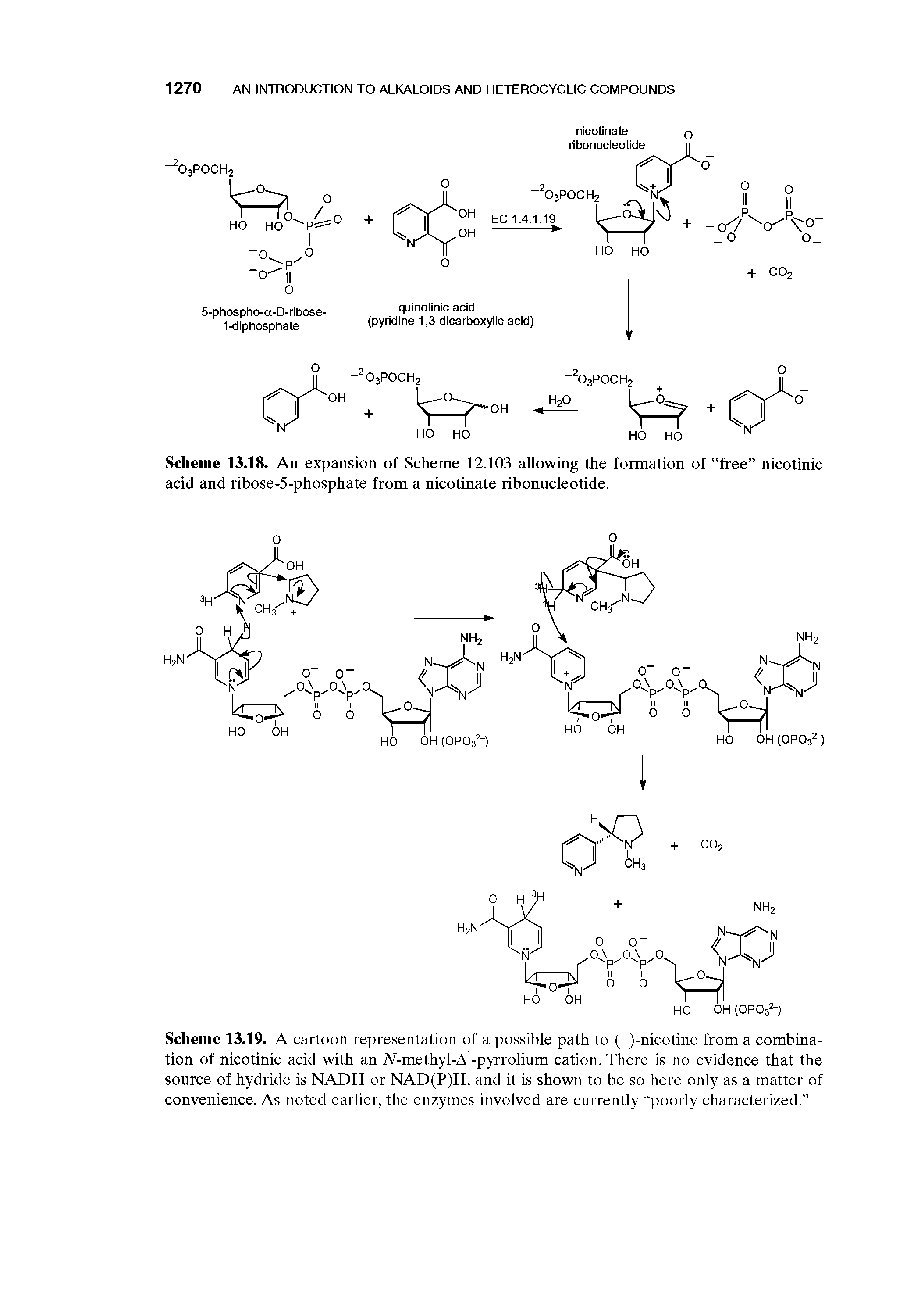 Scheme 13.19 A cartoon representation of a possible path to (-)-nicotine from a combina-tion of nicotinic acid with an A-methyl-A -pyrrolium cation. There is no evidence that the source of hydride is NADH or NAD(P)H, and it is shown to be so here only as a matter of convenience. As noted earlier, the enzymes involved are currently poorly characterized. ...