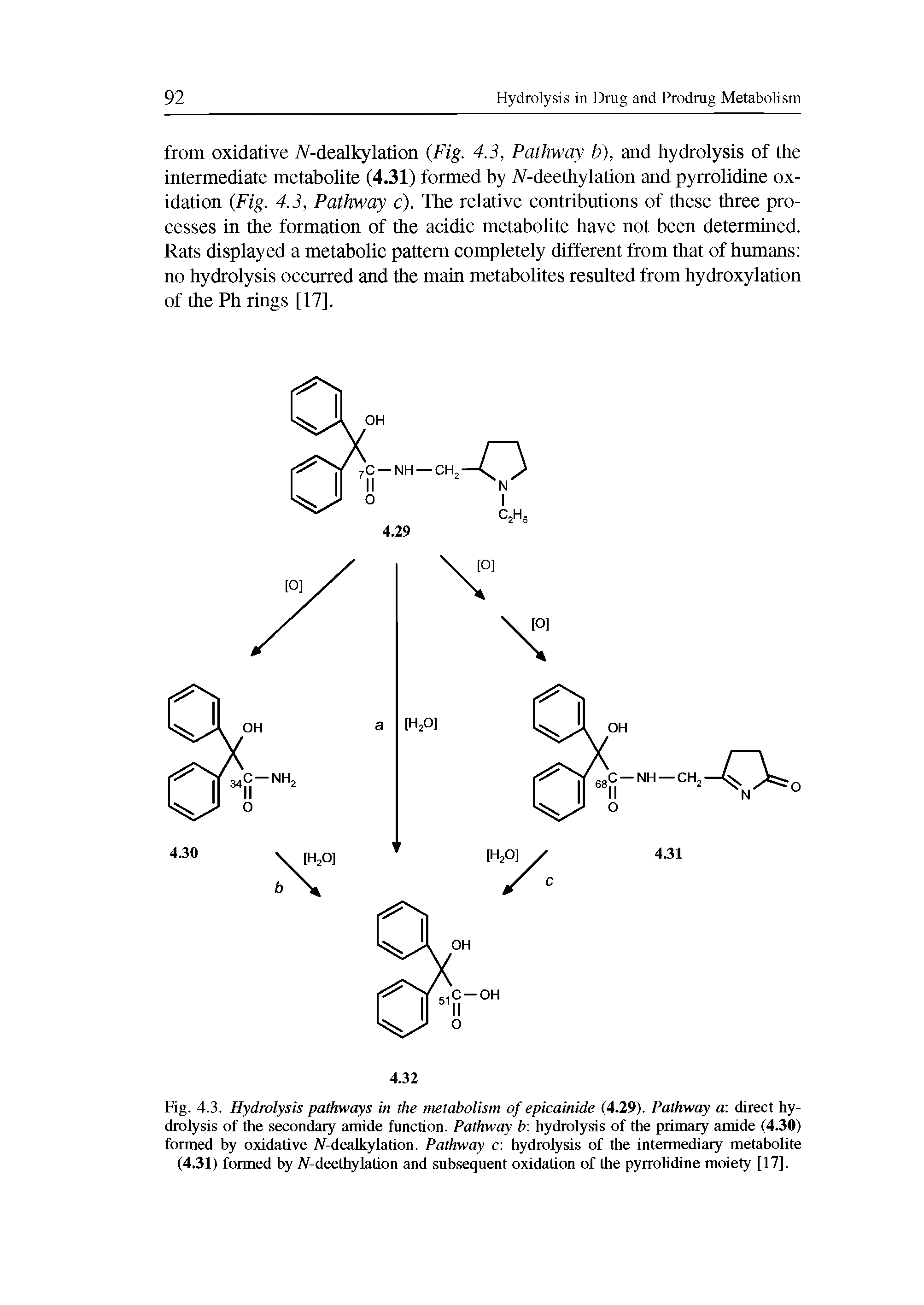 Fig. 4.3. Hydrolysis pathways in the metabolism of epicainide (4.29). Pathway a direct hydrolysis of the secondary amide function. Pathway b hydrolysis of the primary amide (4.30) formed by oxidative (V-dealkylation. Pathway c hydrolysis of the intermediary metabolite (4.31) formed by (V-deethylation and subsequent oxidation of the pyrrolidine moiety [17].
