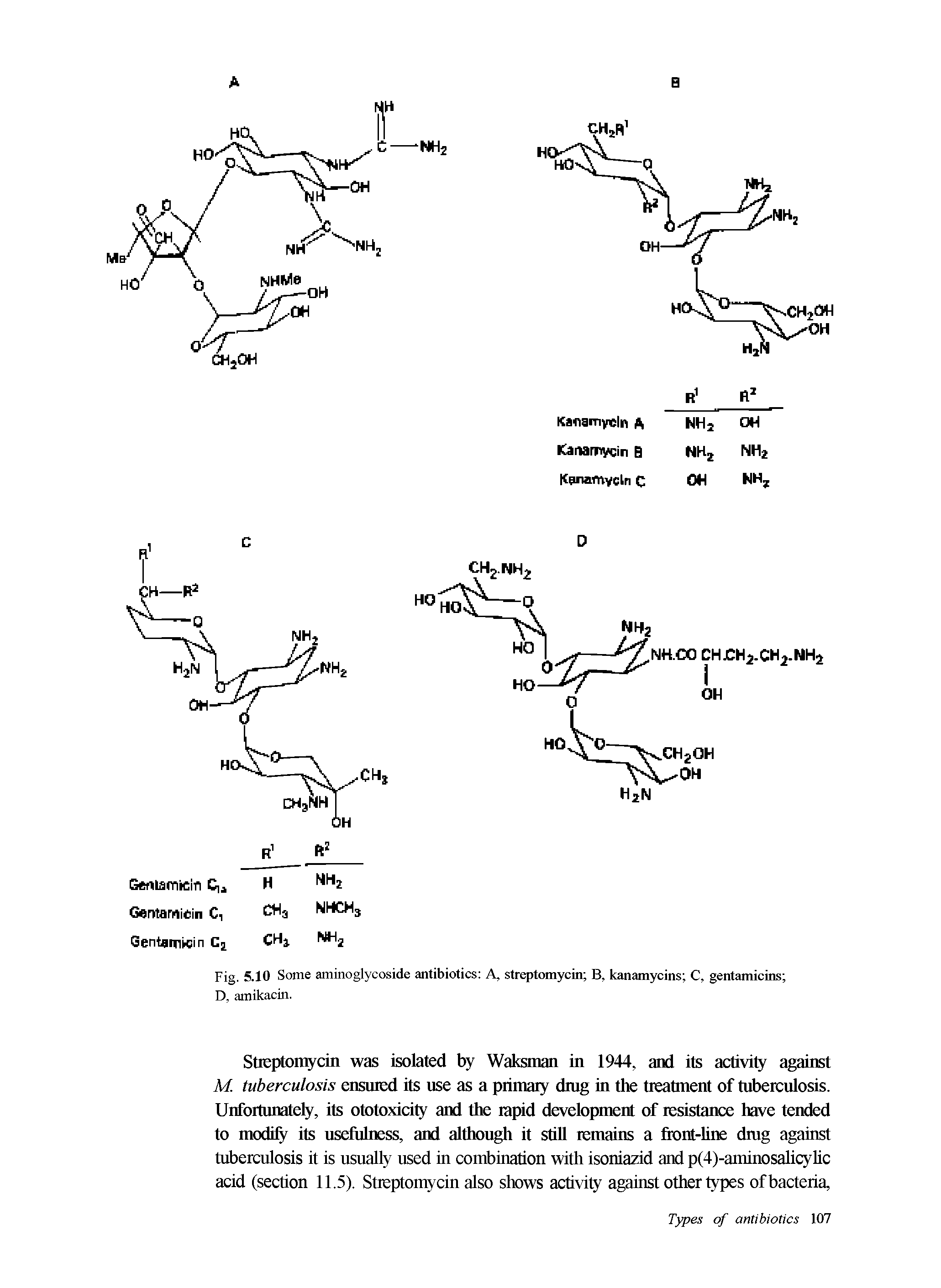 Fig. 5.10 Some aminoglycoside antibiotics A, streptomycin B, kanamycins C, gentamicins D, amikacin.
