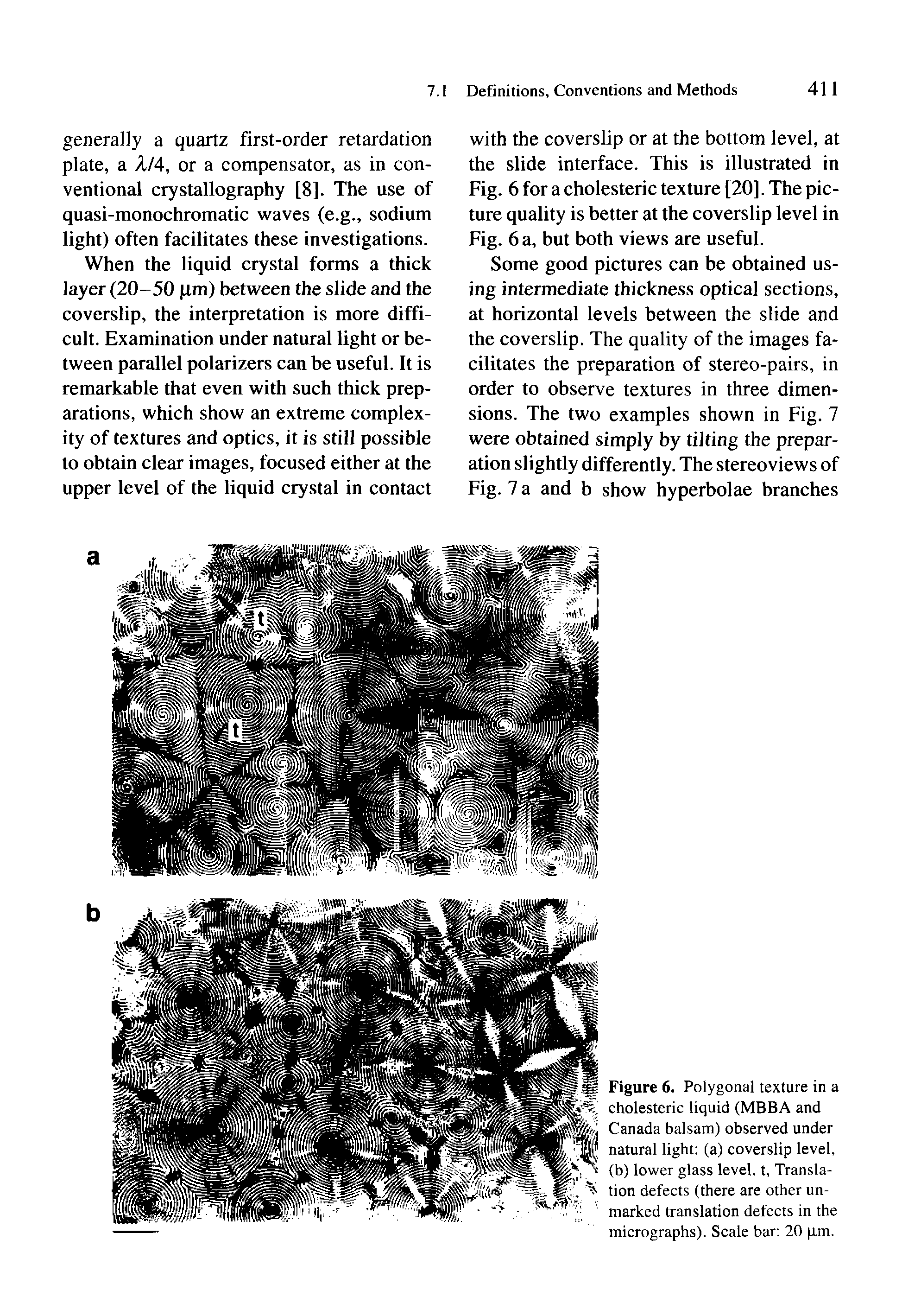 Figure 6. Polygonal texture in a cholesteric liquid (MBBA and Canada balsam) observed under natural light (a) coverslip level, (b) lower glass level, t. Translation defects (there are other unmarked translation defects in the micrographs). Scale bar 20 pm.