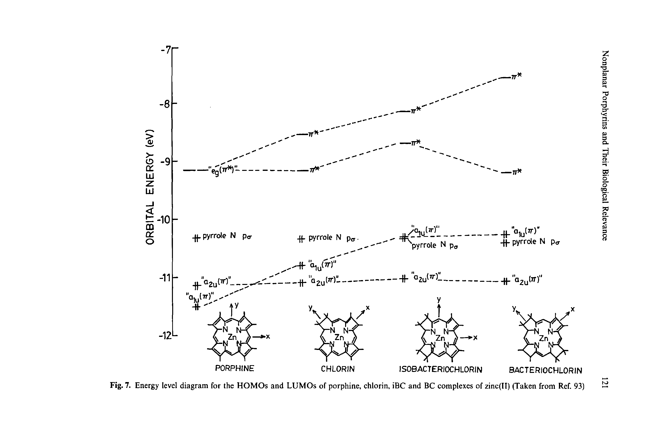 Fig. 7. Energy level diagram for the HOMOs and LUMOs of porphine, chlorin, iBC and BC complexes of zinc(II) (Taken from Ref. 93)...