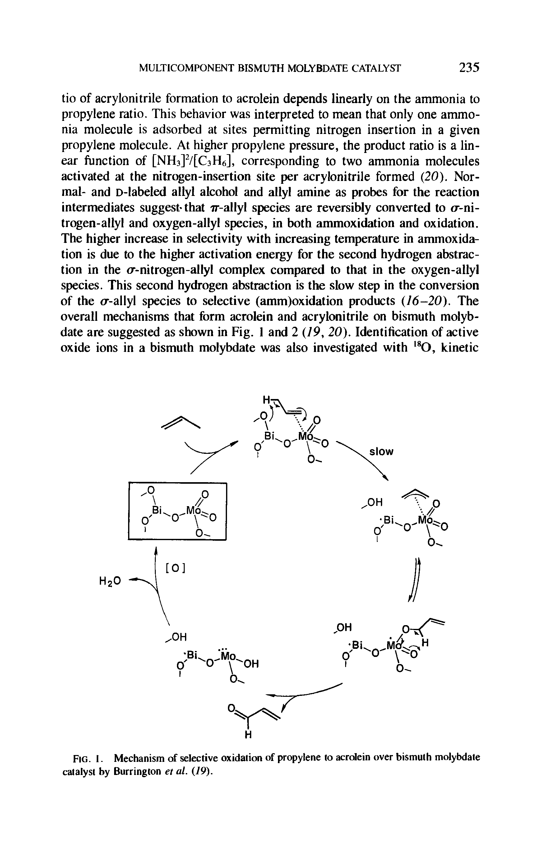 Fig. I. Mechanism of selective oxidation of propylene to acrolein over bismuth molybdate catalyst by Burrington et al. (19).