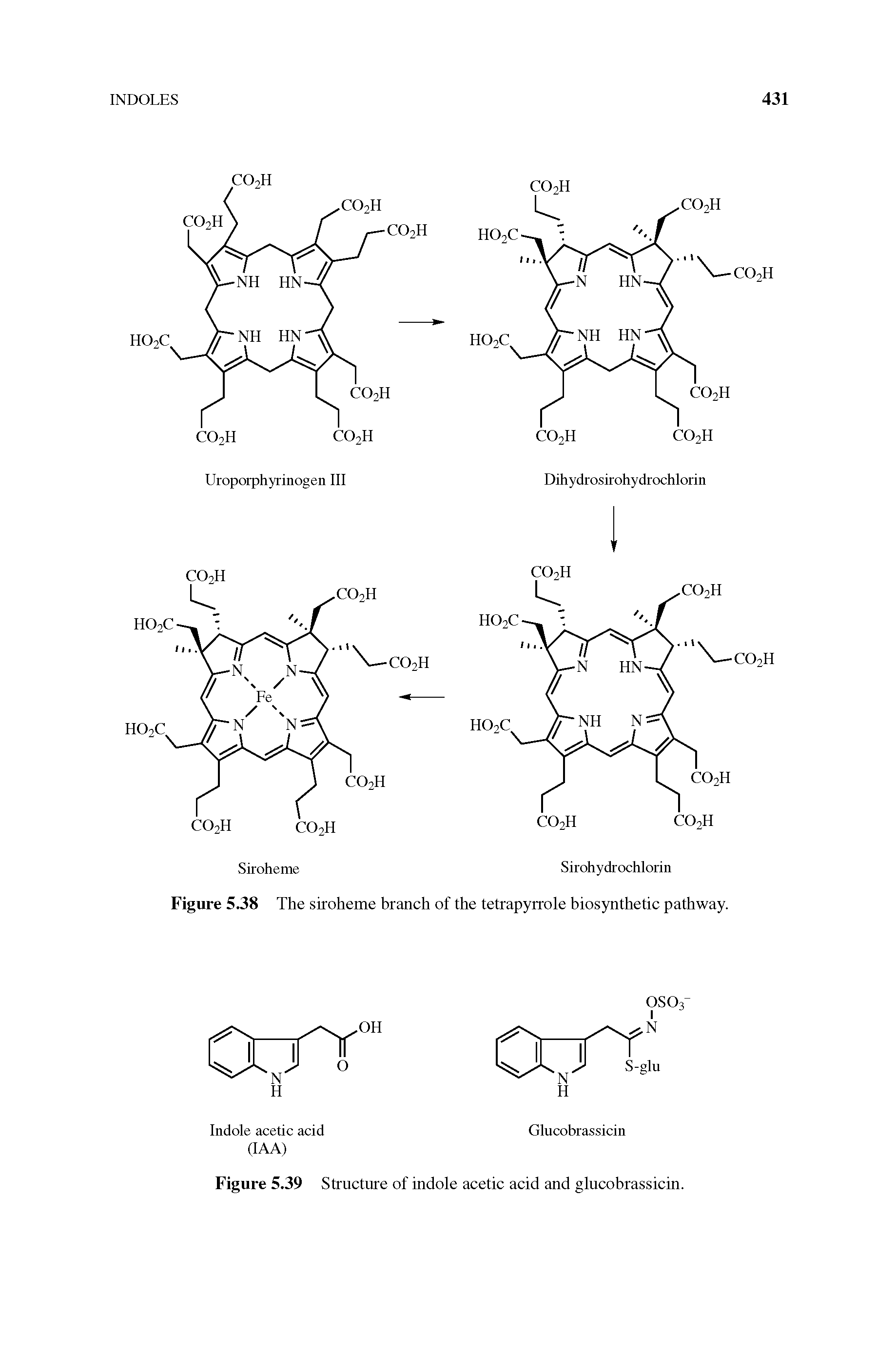 Figure 5.39 Structure of indole acetic acid and glucobrassicin.