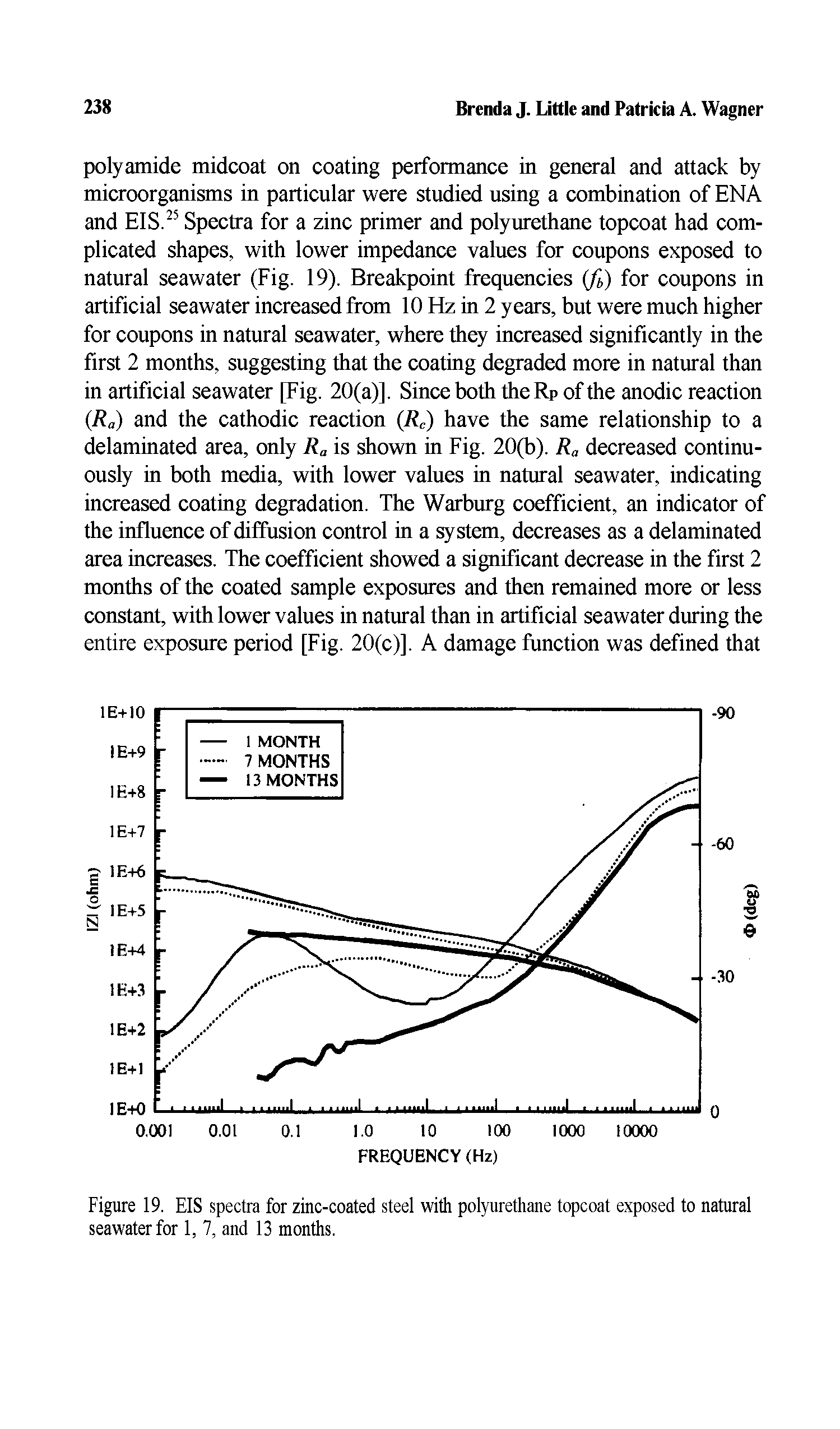 Figure 19. EIS spectra for zinc-coated steel with polyurethane topcoat exposed to natural seawater for 1, 7, and 13 months.