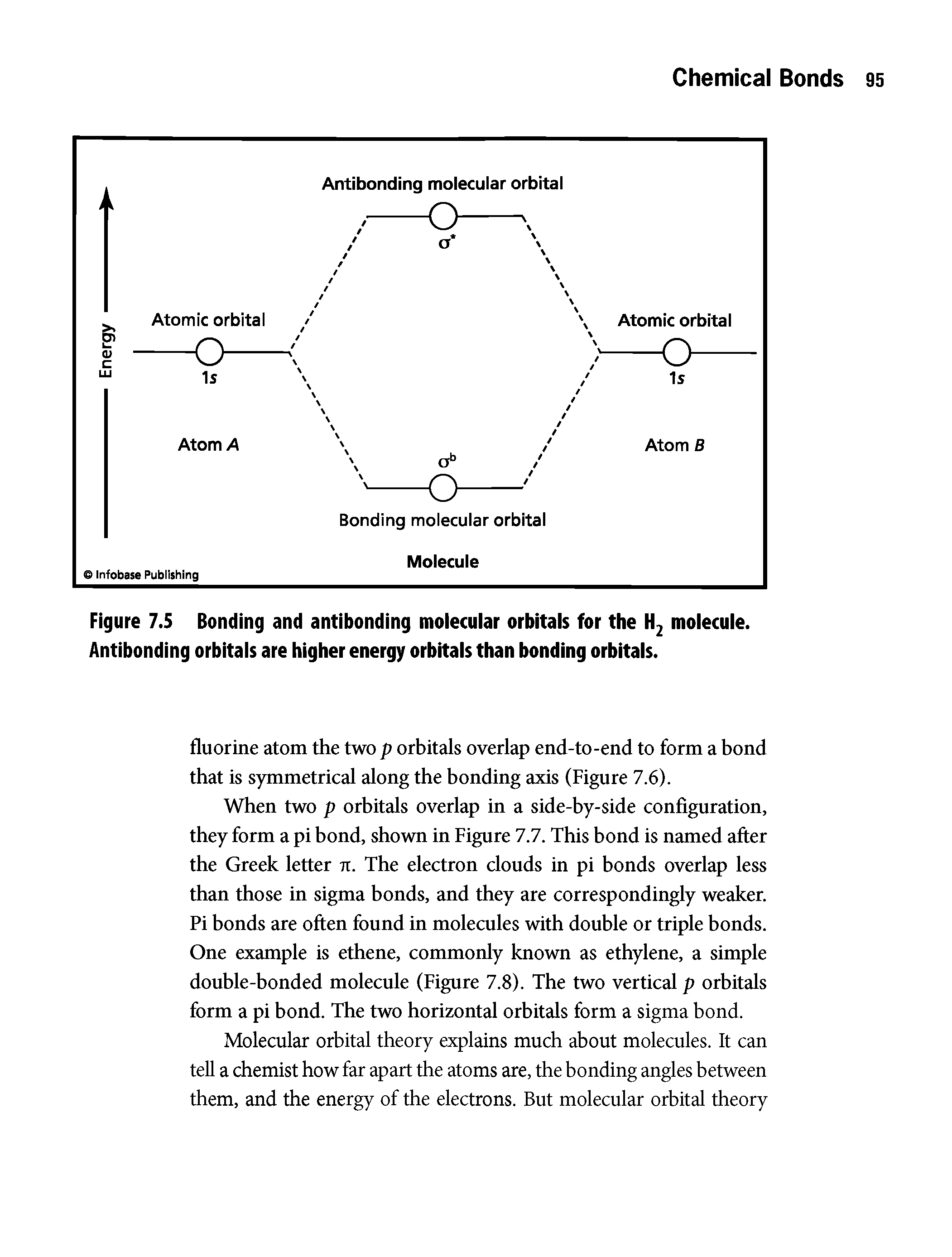 Figure 7.5 Bonding and antibonding molecular orbitals for the H2 molecule. Antibonding orbitais are higher energy orbitals than bonding orbitals.