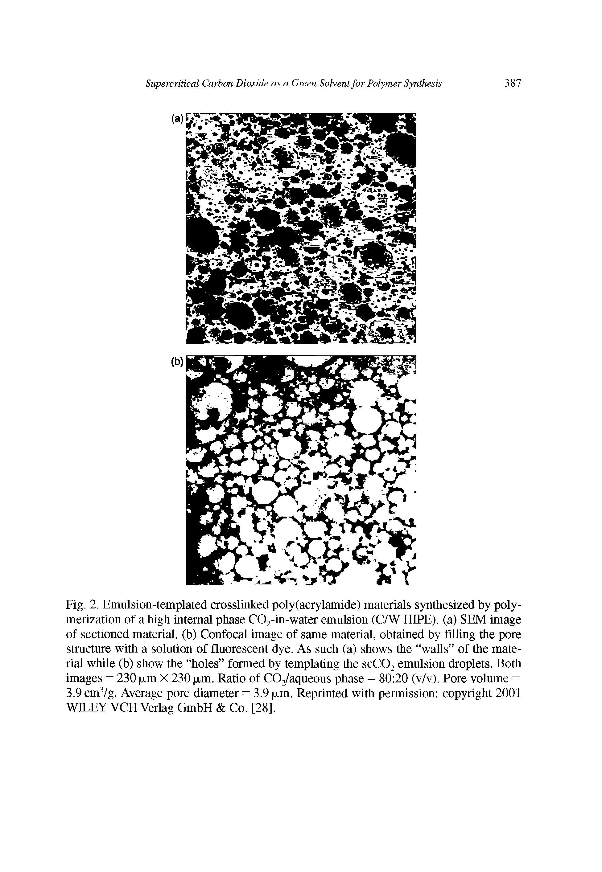 Fig. 2. Emulsion-templated crosslinked poly(acrylamide) materials synthesized by polymerization of a high internal phase C02-in-water emulsion (C/W HIPE). (a) SEM image of sectioned material, (b) Confocal image of same material, obtained by filling the pore structure with a solution of fluorescent dye. As such (a) shows the walls of the material while (b) show the holes formed by templating the SCCO2 emulsion droplets. Both images = 230 iJim X 230 jjim. Ratio of C02/aqueous phase = 80 20 (v/v). Pore volume = 3.9 cm /g. Average pore diameter = 3.9 jjim. Reprinted with permission copyright 2001 WILEY VCH Verlag GmbH Co. [28].