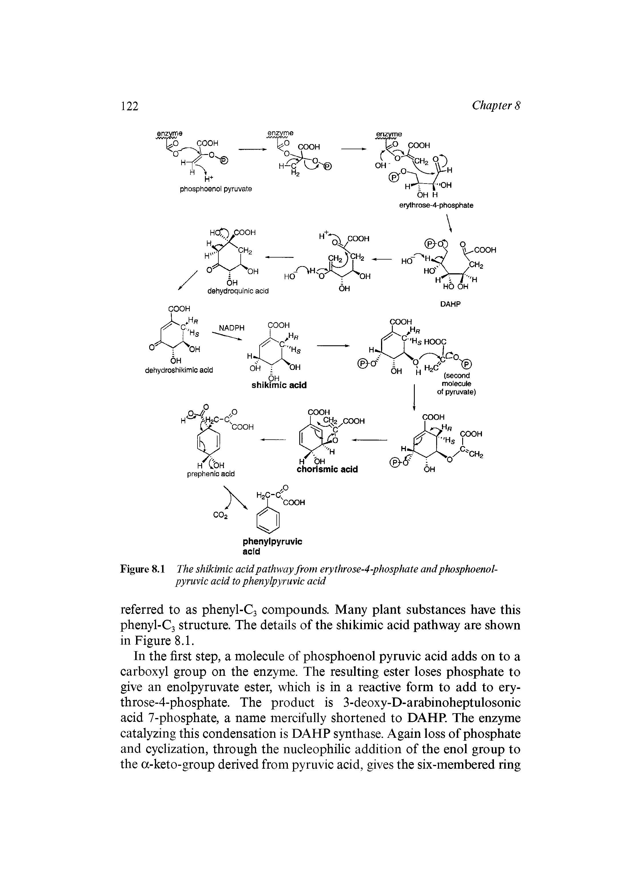 Figure 8.1 The shikimic acid pathway from erythrose-4-phosphate and phosphoenol-pyruvic acid to phenylpyruvic acid...