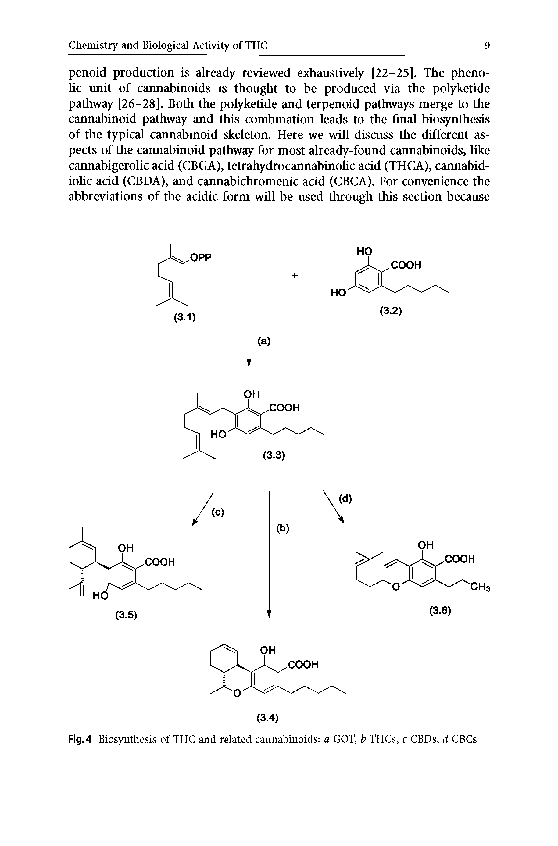Fig. 4 Biosynthesis of THC and related cannabinoids a GOT, b THCs, c CBDs, d CBCs...