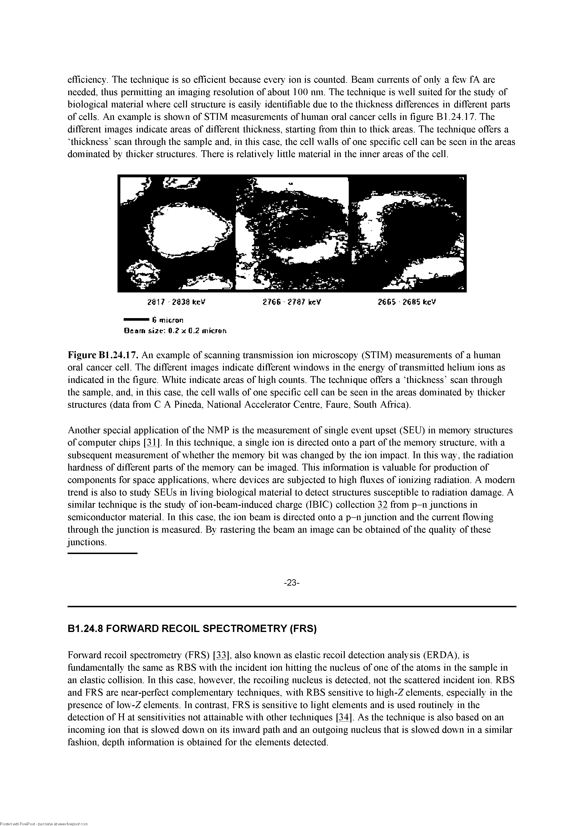 Figure Bl.24.17. An example of scanning transmission ion microscopy (STIM) measurements of a human oral cancer cell. The different images indicate different windows in the energy of transmitted helium ions as indicated in the figure. White indicate areas of high counts. The teclmique offers a thickness scan through the sample, and, in this case, the cell walls of one specific cell can be seen in the areas dominated by thicker structures (data from C A Pineda, National Accelerator Centre, Fame, South Africa).