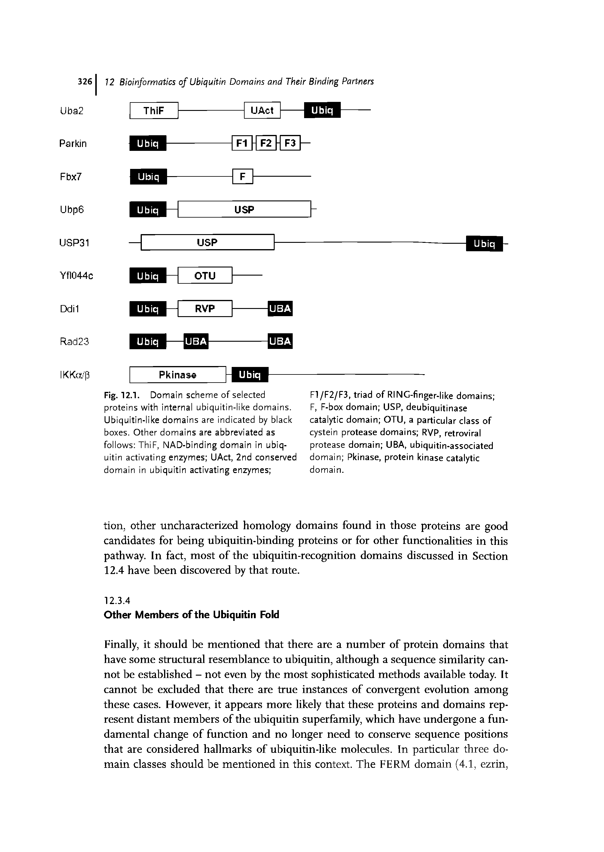 Fig. 12.1. Domain scheme of selected proteins with internal ubiquitin-like domains. Ubiquitin-like domains are indicated by black boxes. Other domains are abbreviated as follows ThiF, NAD-binding domain in ubiq-uitin activating enzymes UAct, 2nd conserved domain in ubiquitin activating enzymes ...