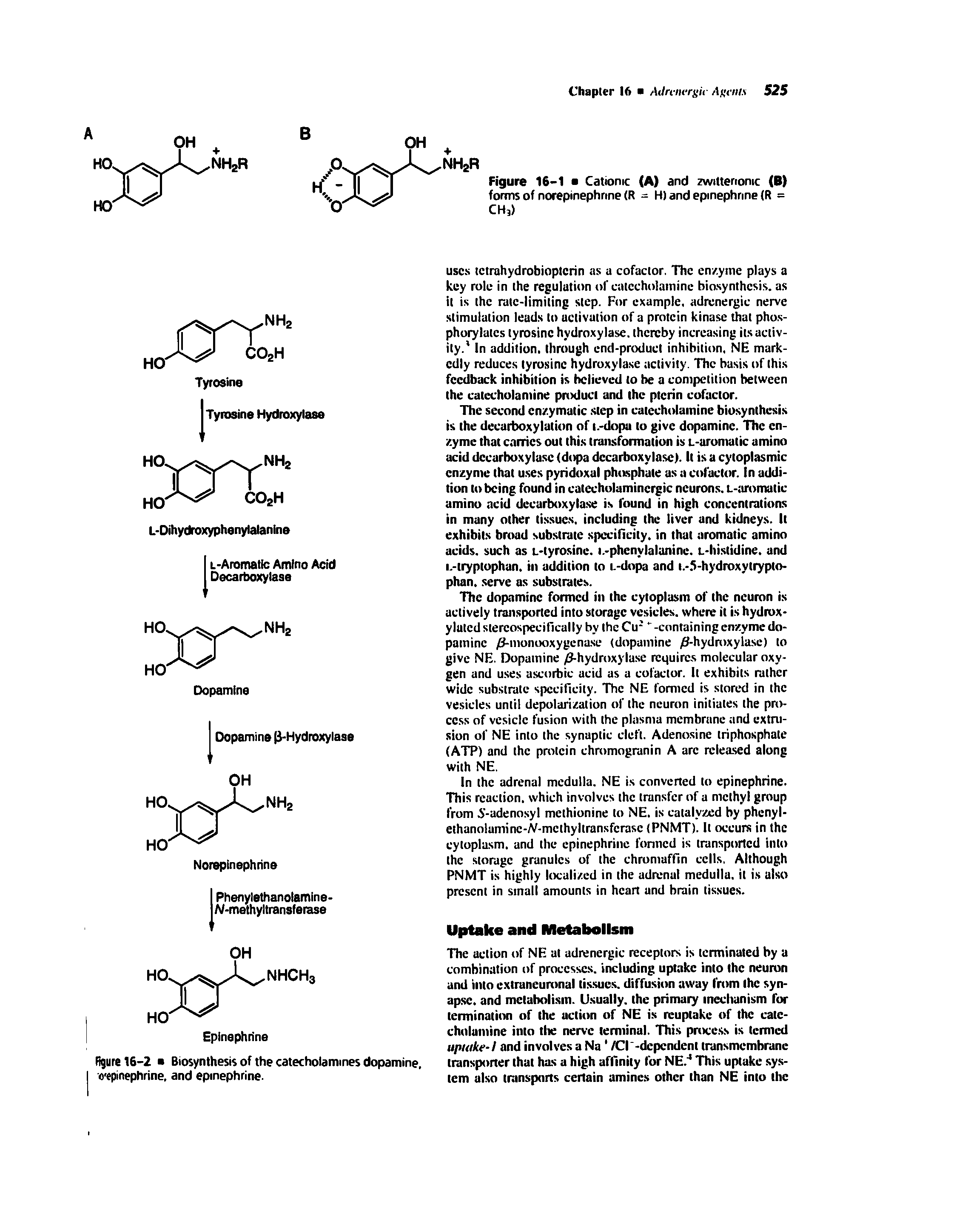 Figure 16-2 Biosynthesis of the catecholamines dopamine, o epinephrine, and epinephrine.