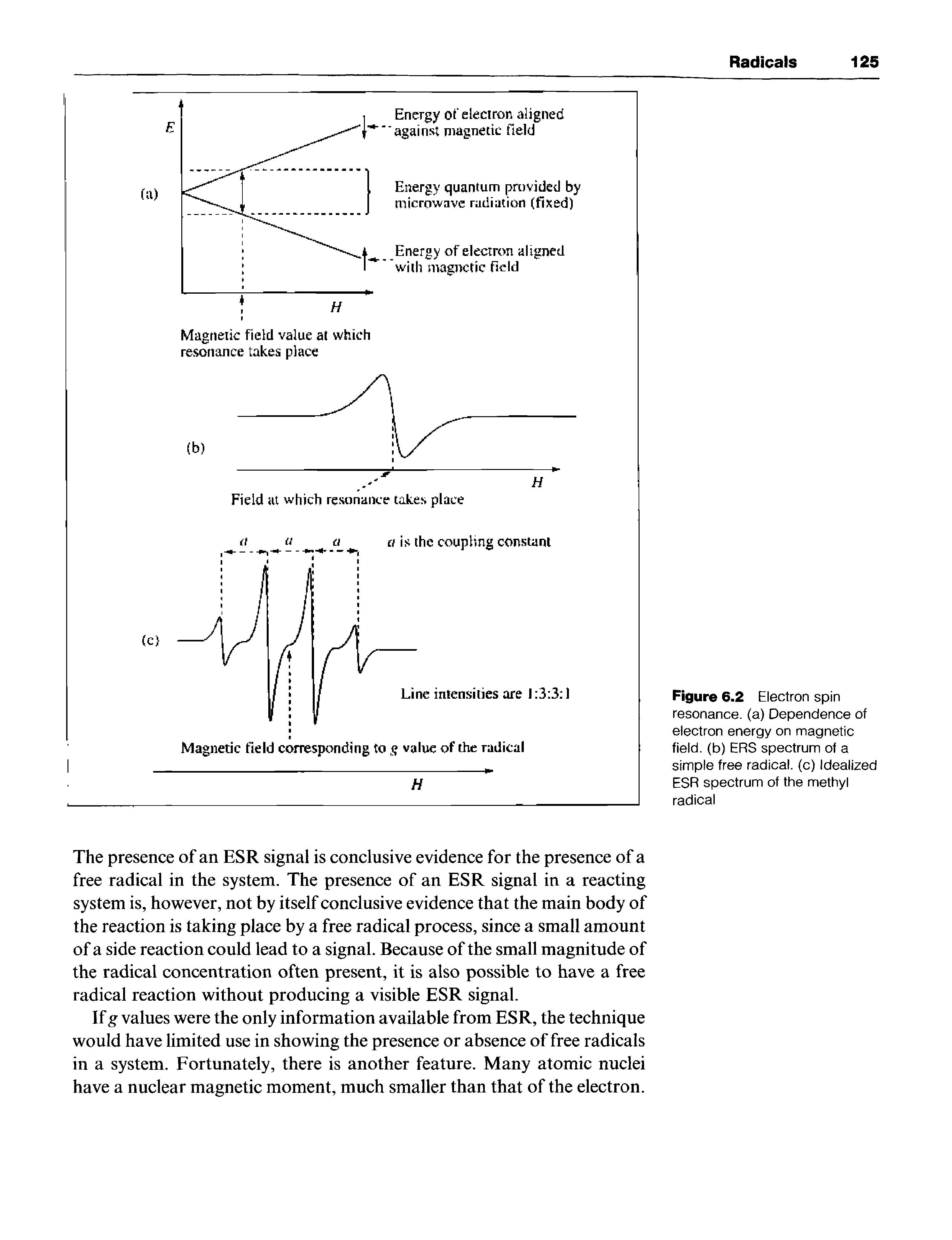 Figure 6.2 Electron spin resonance, (a) Dependence of electron energy on magnetic field, (b) ERS spectrum of a simple free radical, (c) Idealized ESR spectrum of the methyl radical...