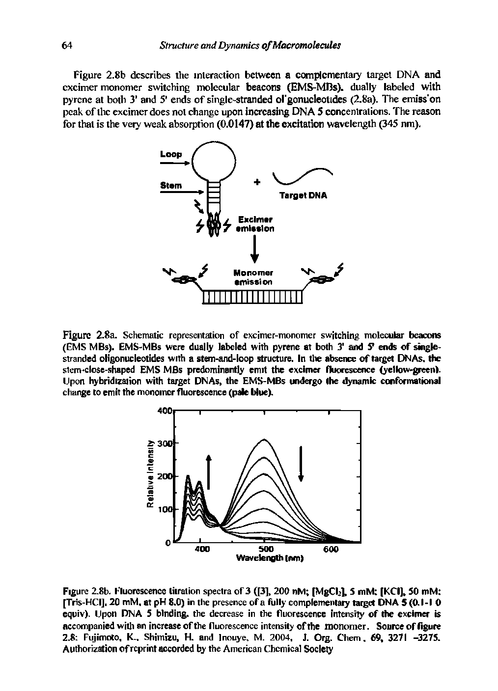 Figure 2.8a. Schematic representation of excimer-monomer switching molecular beacons (EMS MBs). EMS-MBs were dually labeled with pyrene at both 3 and S ends of single-stranded oligonucleotides with a stem-and-loop structure. In tlie absence of target DNAs. the slem-close-shaped EMS MBs predominantly emit the exclmer fluorescence (yellow-green). Upon hybridization with target DNAs, the EMS-MBs undergo the ilynamic conformational change to emit the monoincr fluorescence (pale Uue).
