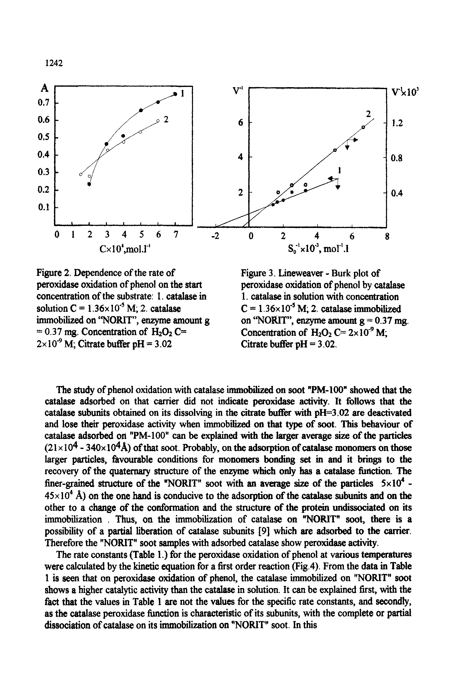 Figure 3. Lineweaver - Burk plot of peroxidase oxidation of phenol by catalase 1. catalase in solution with concentration C = 1.36x10 M 2. catalase immobilized on NORiT , enzyme amount g = 0.37 mg. Concentration of H2O2 C= 2x10 M Citrate buffer pH = 3.02.