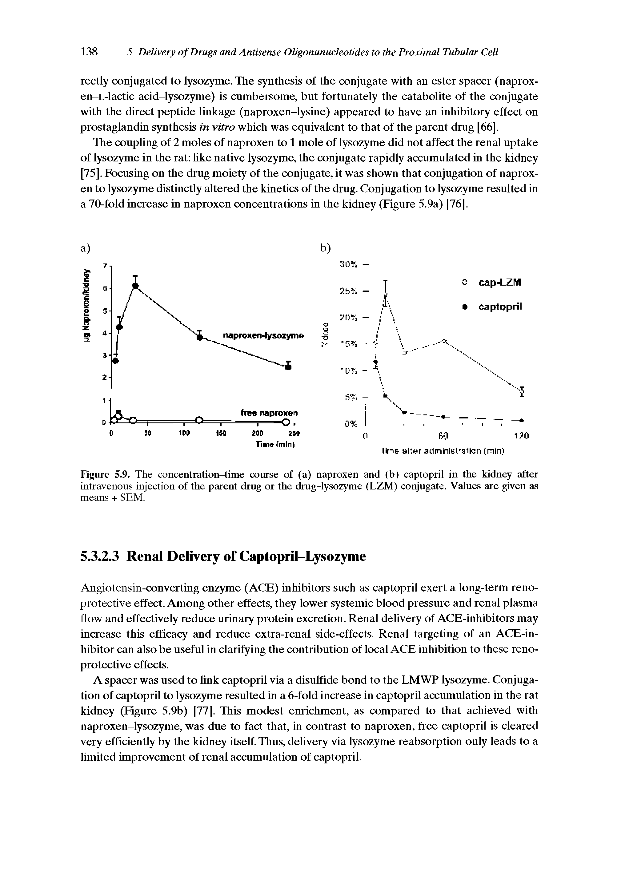 Figure 5.9. The concentration-time course of (a) naproxen and (b) captopril in the kidney after intravenous injection of the parent drug or the drug-lysozyme (LZM) conjugate. Values are given as means + SEM.