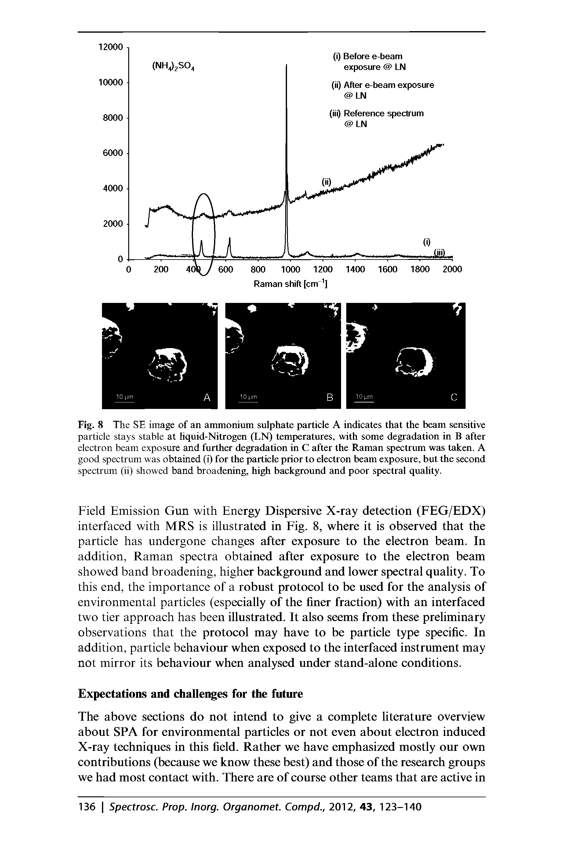 Fig. 8 The SE image of an ammonium sulphate particle A indicates that the beam sensitive particle stays stable at liquid-Nitrogen (LN) temperatures, with some degradation in B after electron beam exposure and further degradation in C after the Raman spectrum was taken. A good spectrum was obtained (i) for the particle prior to electron beam exposure, but the second spectrum (ii) showed band broadening, high background and poor spectral quality.
