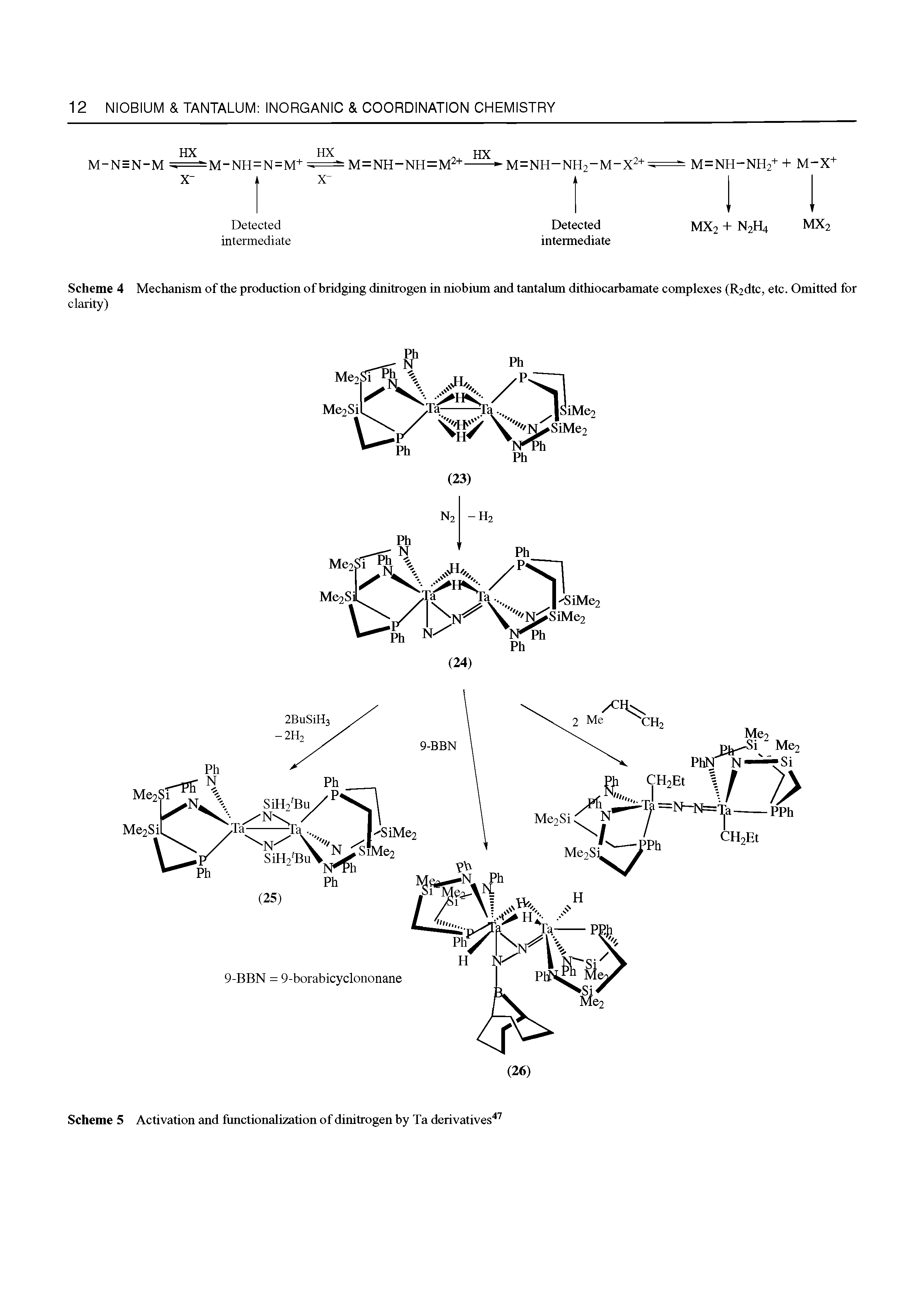 Scheme 4 Mechanism of the production of bridging dinitrogen in niobium and tantalum dithiocarbamate complexes (R2dtc, etc. Omitted for clarity)...
