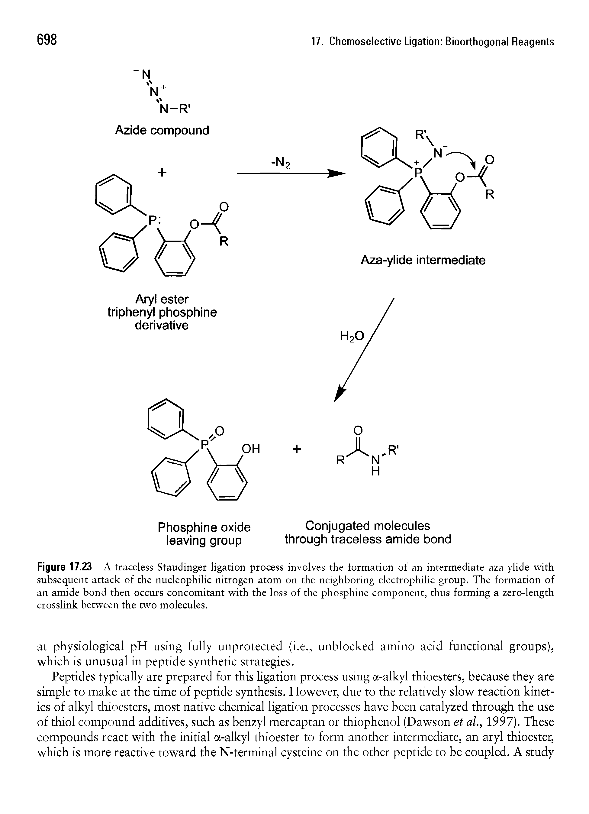 Figure 17.23 A traceless Staudinger ligation process involves the formation of an intermediate aza-ylide with subsequent attack of the nucleophilic nitrogen atom on the neighboring electrophilic group. The formation of an amide bond then occurs concomitant with the loss of the phosphine component, thus forming a zero-length crosslink between the two molecules.
