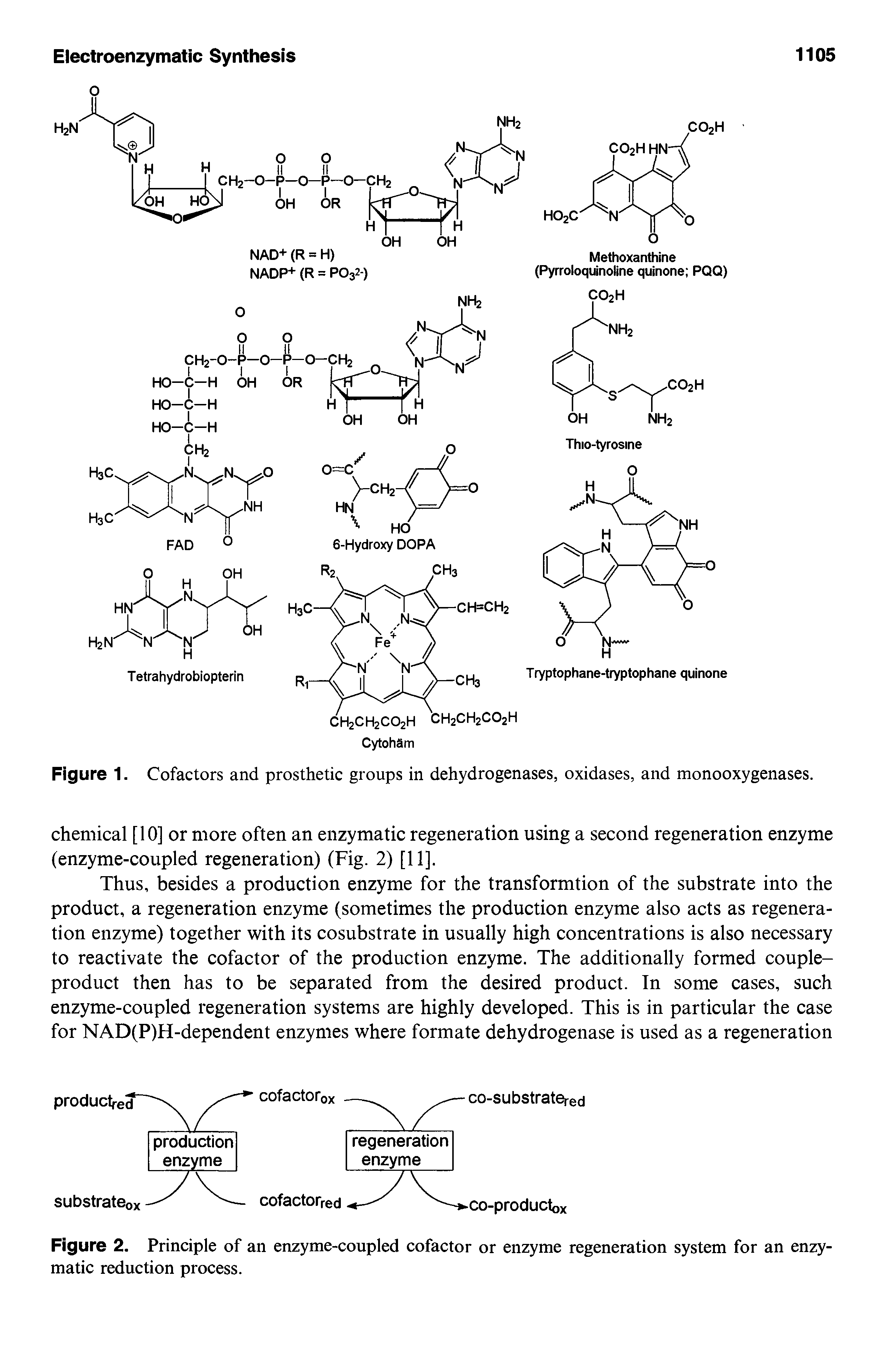 Figure 1. Cofactors and prosthetic groups in dehydrogenases, oxidases, and monooxygenases.