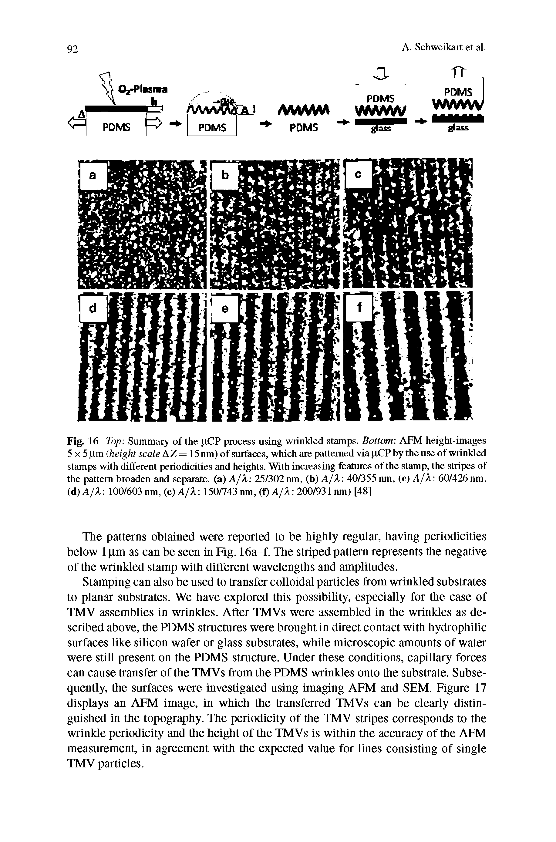 Fig. 16 Top-. Summary of the p.CP process using wrinkled stamps. Bottom AFM height-images 5 x 5 Llm (height scale AZ= 15nm) of surfaces, which are patterned via pCP by the use of wrinkled stamps with different periodicities and heights. With increasing features of the stamp, the stripes of the pattern broaden and separate, (a) A/X 25/302 nm, (b) A/X 40/355nm, (c) A/X 60/426 nm, A) A/X 100/603 nm, (c)A/X 150/743 nm, (f)A/X 200/931 nm) [48]...