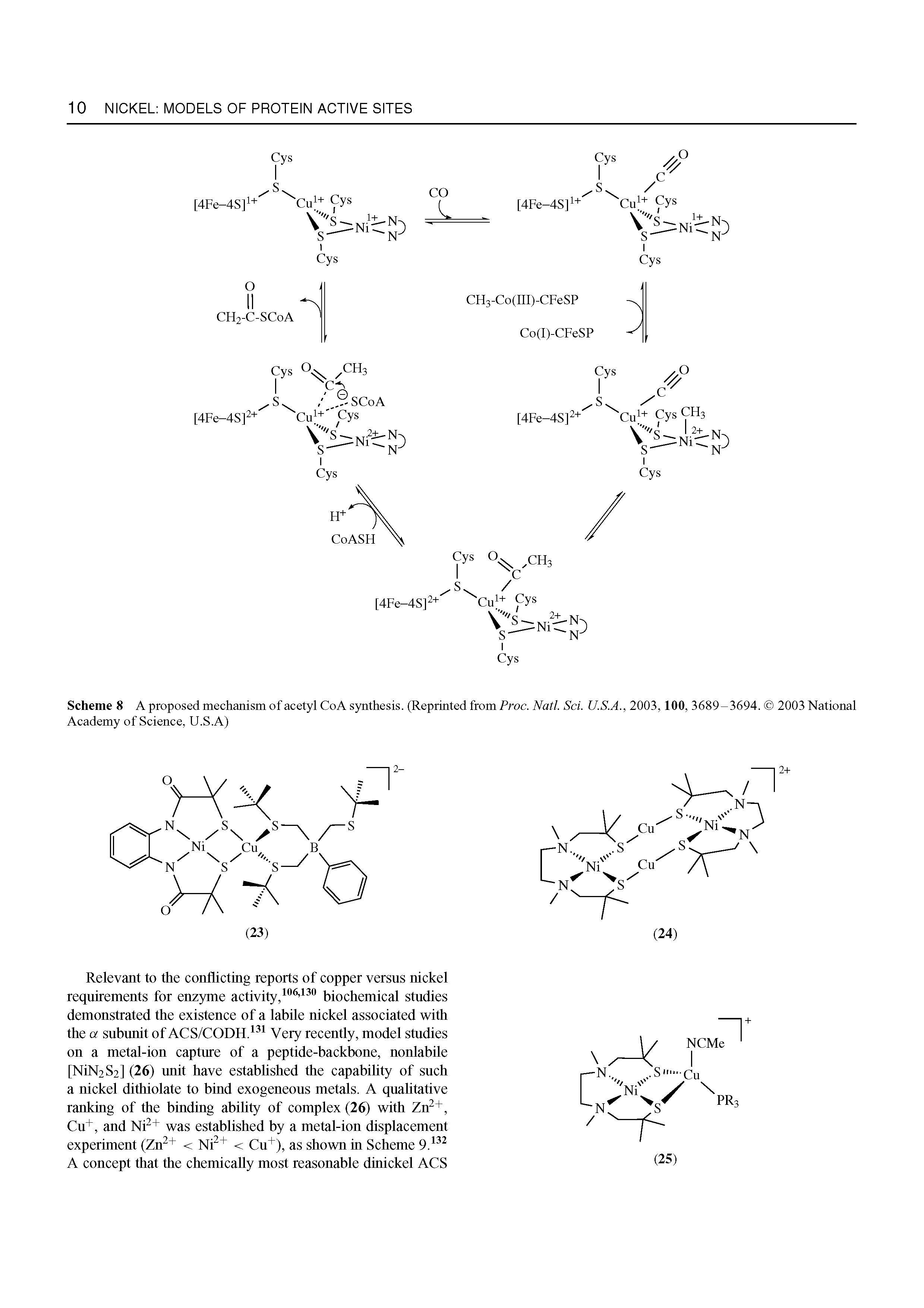Scheme 8 A proposed mechanism of acetyl CoA synthesis. (Reprinted from Proc. Natl. Set U.S.A., 2003,100, 3689-3694. 2003 National Academy of Science, U.S.A)...