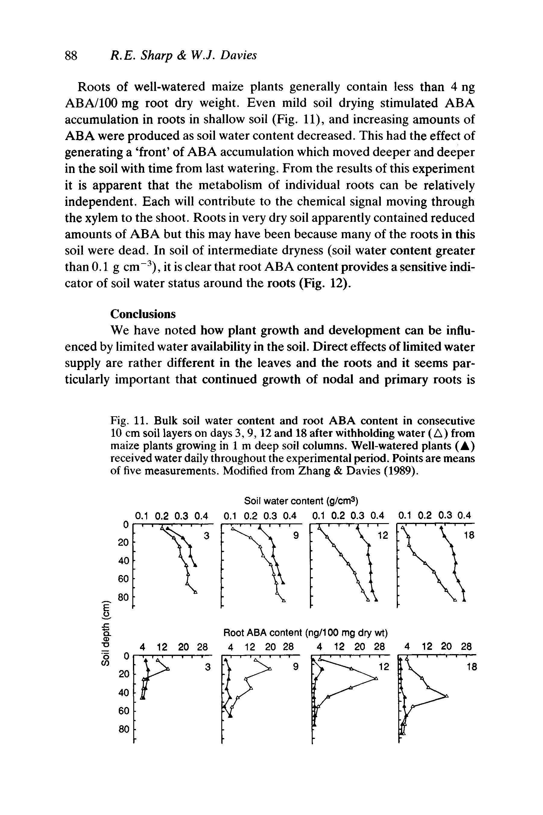 Fig. 11. Bulk soil water content and root ABA content in consecutive 10 cm soil layers on days 3, 9,12 and 18 after withholding water (A) from maize plants growing in 1 m deep soil columns. Well-watered plants (A) received water daily throughout the experimental period. Points are means of five measurements. Modified from Zhang Davies (1989).