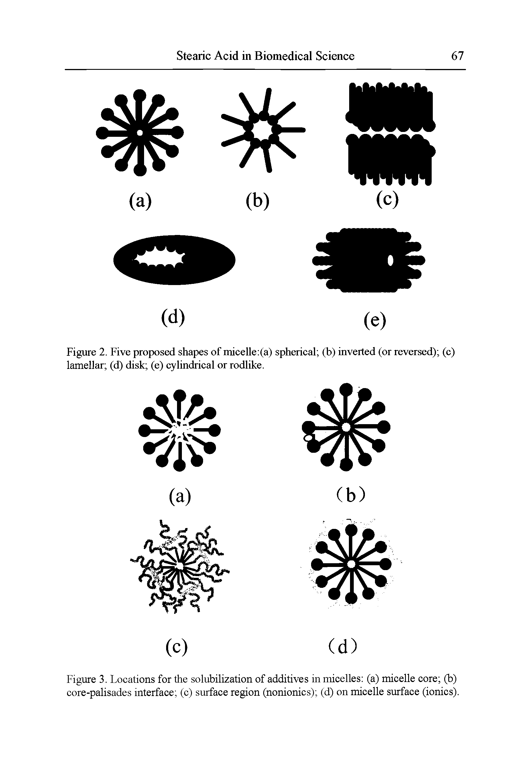 Figure 2. Five proposed shapes of micelle (a) spherieal (b) inverted (or reversed) (e) lamellar (d) disk (e) cylindrical or rodlike.