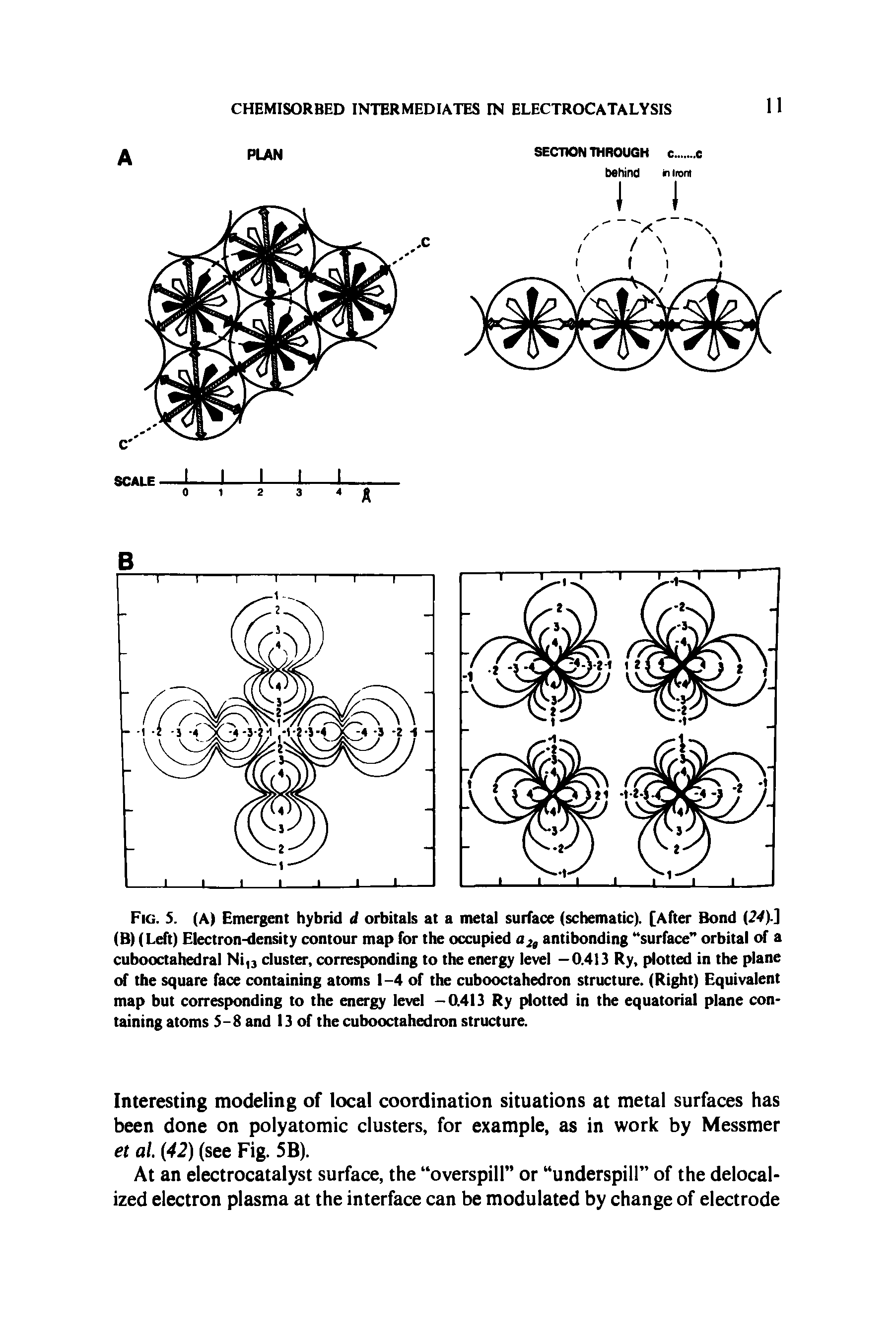 Fig. S. (A) Emergent hybrid d orbitals at a metal surface (schematic). [After Bond 24).] (B) (Left) Electron-density contour map for the occupied a2, antibonding surface orbital of a cubooctahedral Ni,3 cluster, corresponding to the energy level —0.413 Ry, plotted in the plane of the square face containing atoms 1-4 of the cubooctahedron structure. (Right) Equivalent map but corresponding to the energy level -0.413 Ry plotted in the equatorial plane containing atoms 5-8 and 13 of the cubooctahedron structure.
