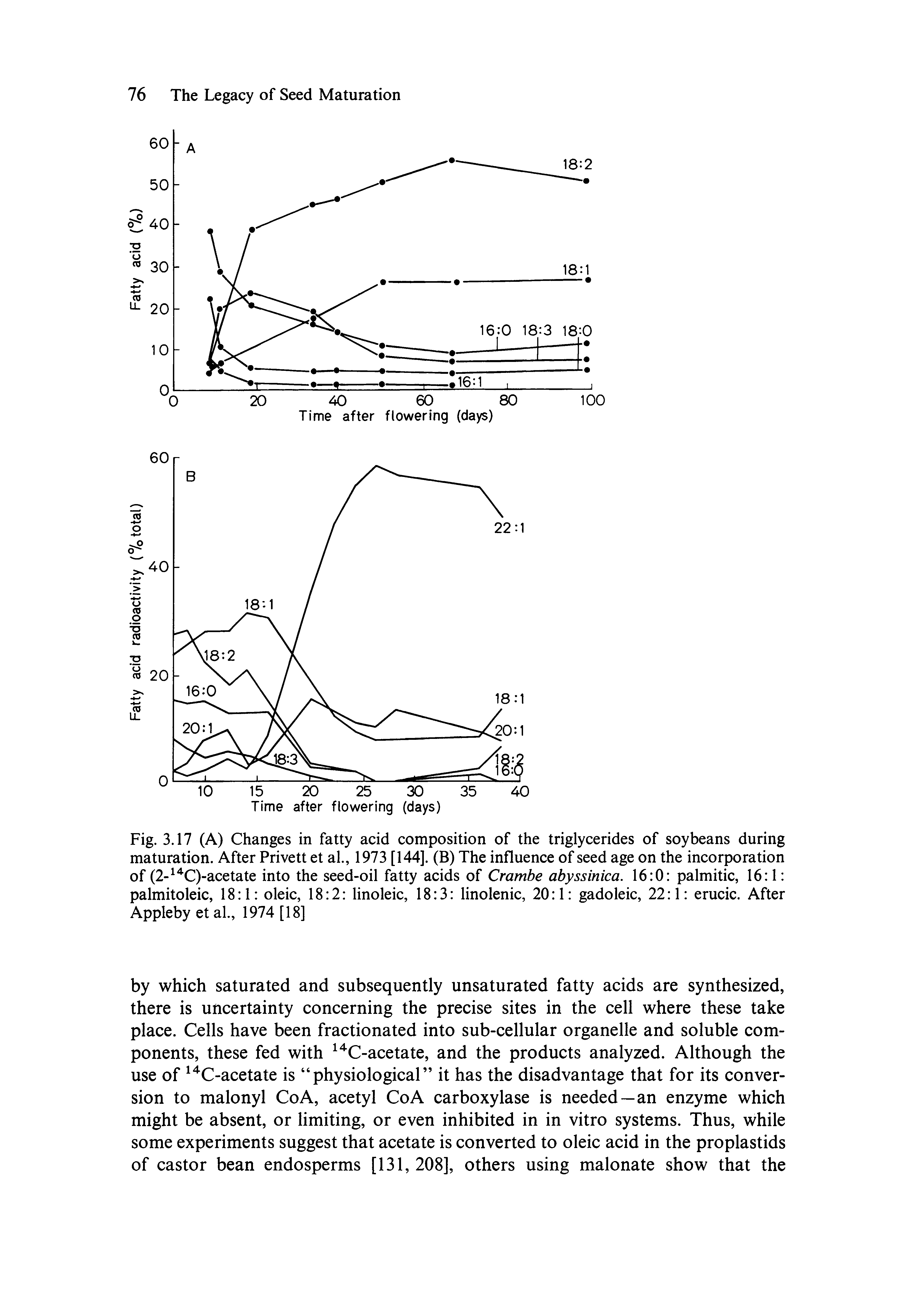 Fig. 3.17 (A) Changes in fatty acid composition of the triglycerides of soybeans during maturation. After Privett et al., 1973 [144]. (B) The influence of seed age on the incorporation of (2- C)-acetate into the seed-oil fatty acids of Crambe abyssinica. 16 0 palmitic, 16 1 palmitoleic, 18 1 oleic, 18 2 linoleic, 18 3 linolenic, 20 1 gadoleic, 22 1 erucic. After Appleby et al., 1974 [18]...