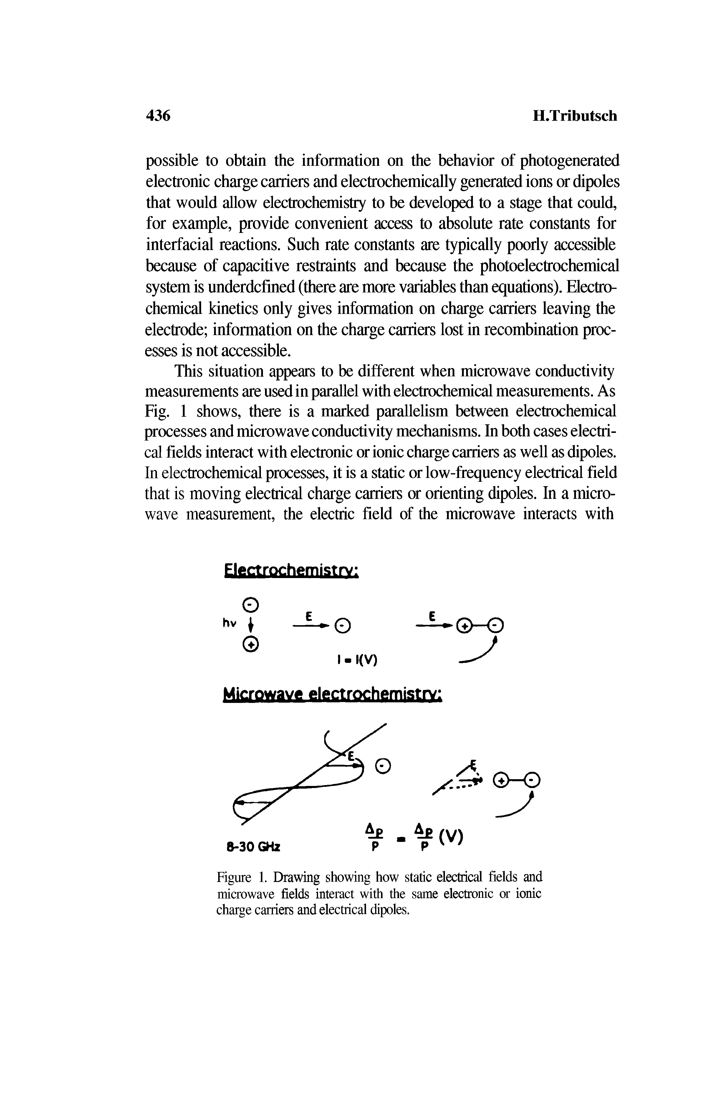 Figure 1. Drawing showing how static electrical fields and microwave fields interact with the same electronic or ionic charge carriers and electrical dipoles.