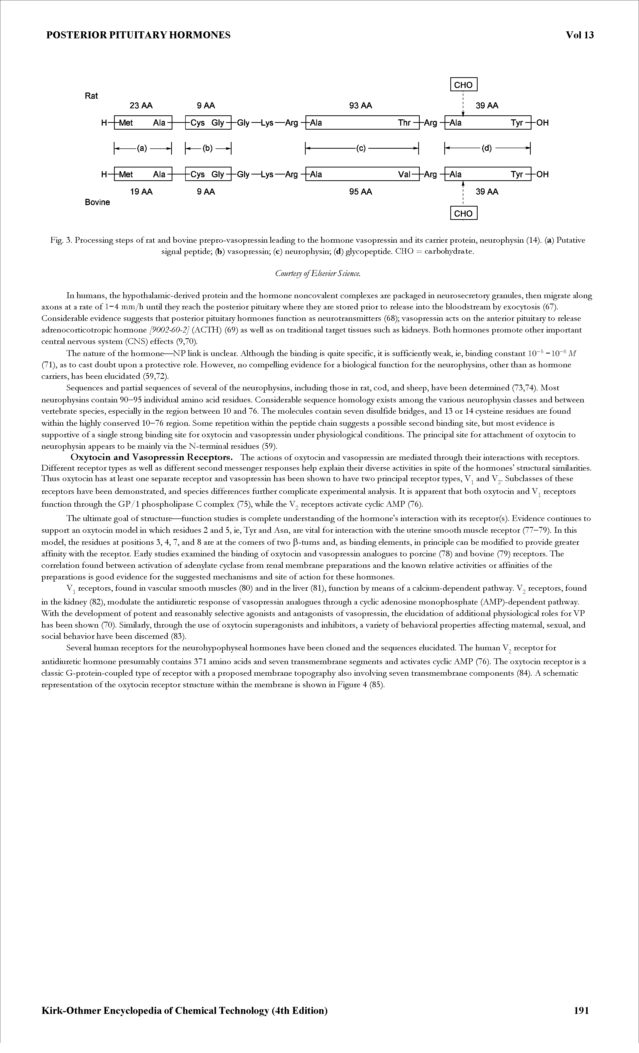 Fig. 3. Processing steps of rat and bovine prepro-vasopressin lea ding to the hormone vasopressin and its carrier protein, neurophysin (14). (a) Putative signal peptide (b) vasopressin (c) neurophysin (d) glycopeptide. CHO = carbohydrate.