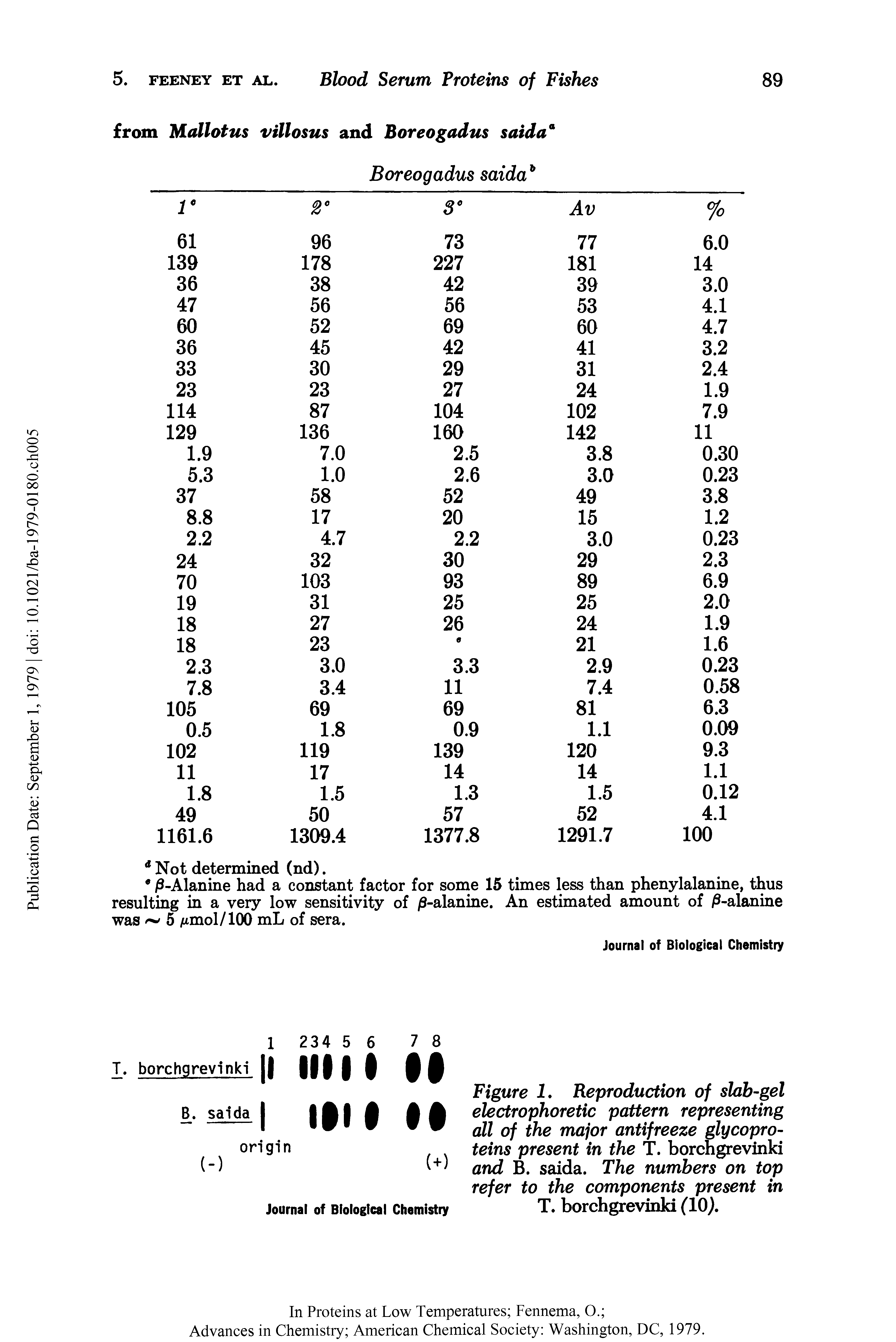 Figure I. Reproduction of slab-gel electrophoretic pattern representing all of the major antifreeze glycoproteins present in the T. borchgrevinki and B. saida. The numbers on top refer to the components present in T. borchgrevinki (10).