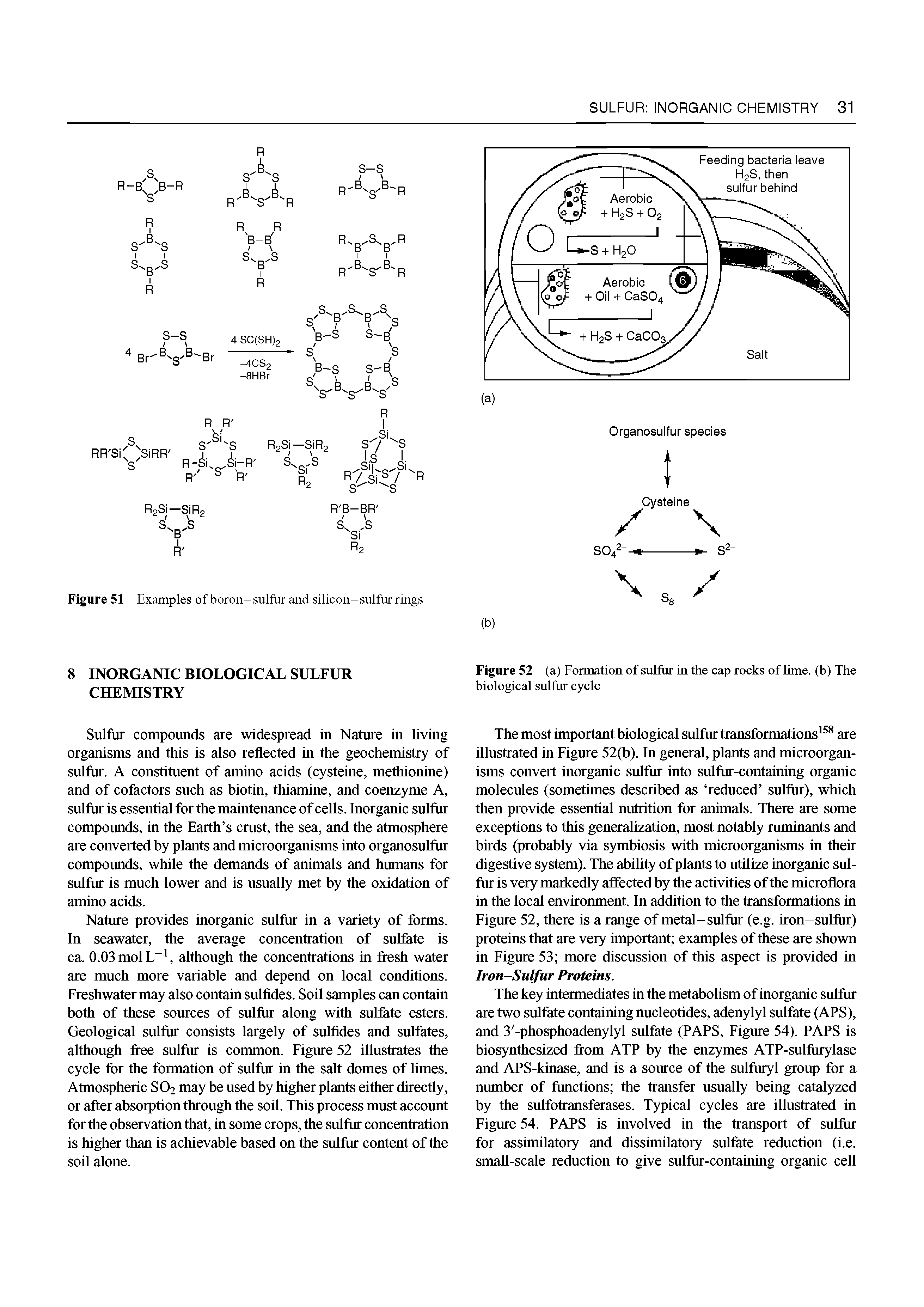 Figure 51 Examples of boron-sulfur and silicon-sulfur rings...
