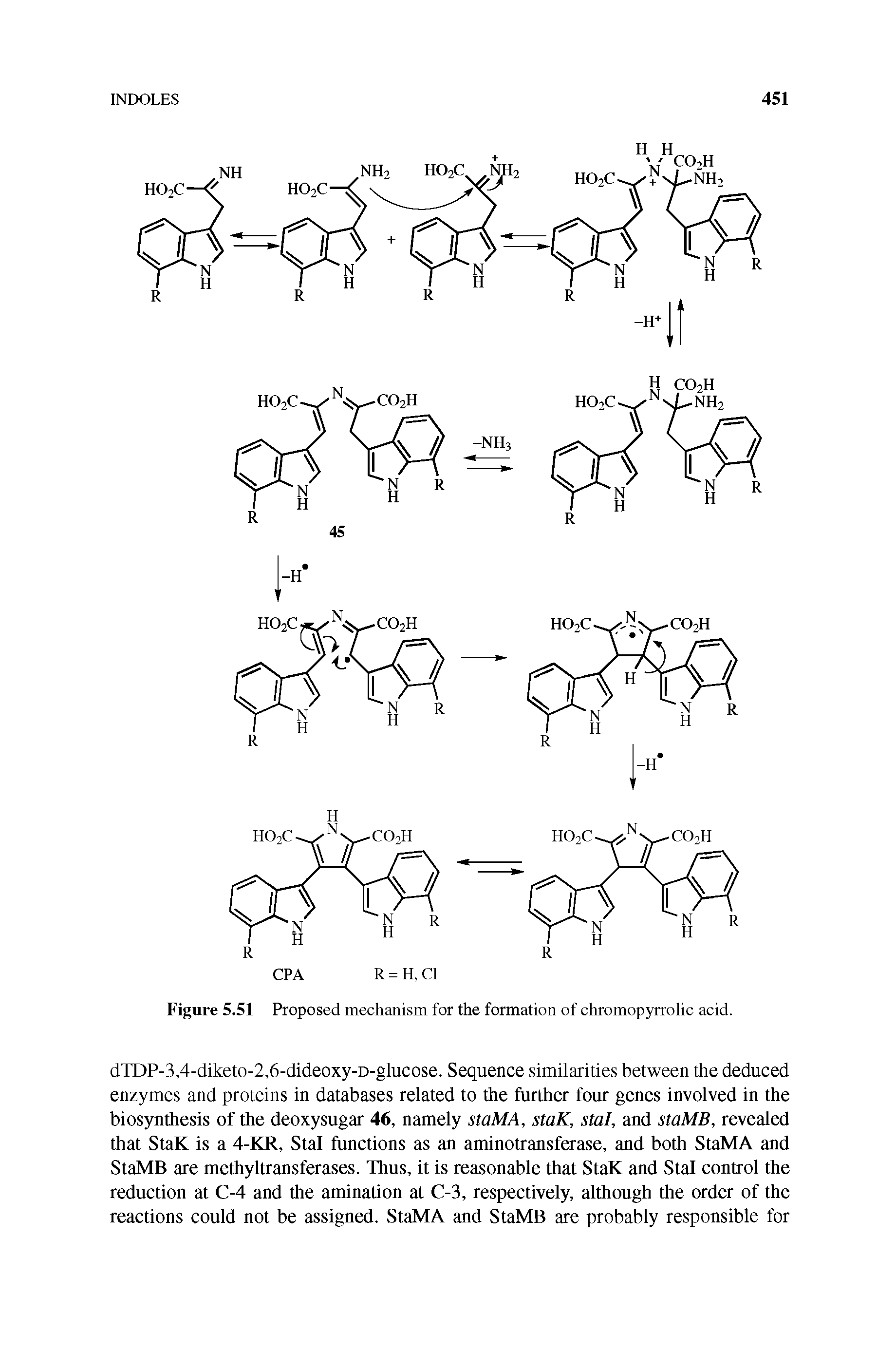 Figure 5.51 Proposed mechanism for the formation of chromopyrrolic acid.