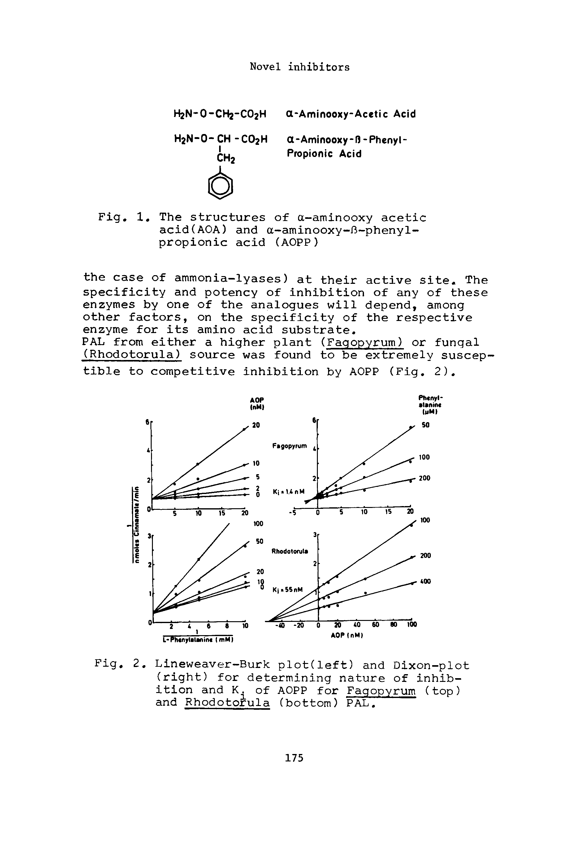 Fig. 2. Lineweaver-Burk plot(left) and Dixon-plot (right) for determining nature of inhibition and K. of AOPP for Faqopyrum (top) and Rhodotorula (bottom) PAL,...