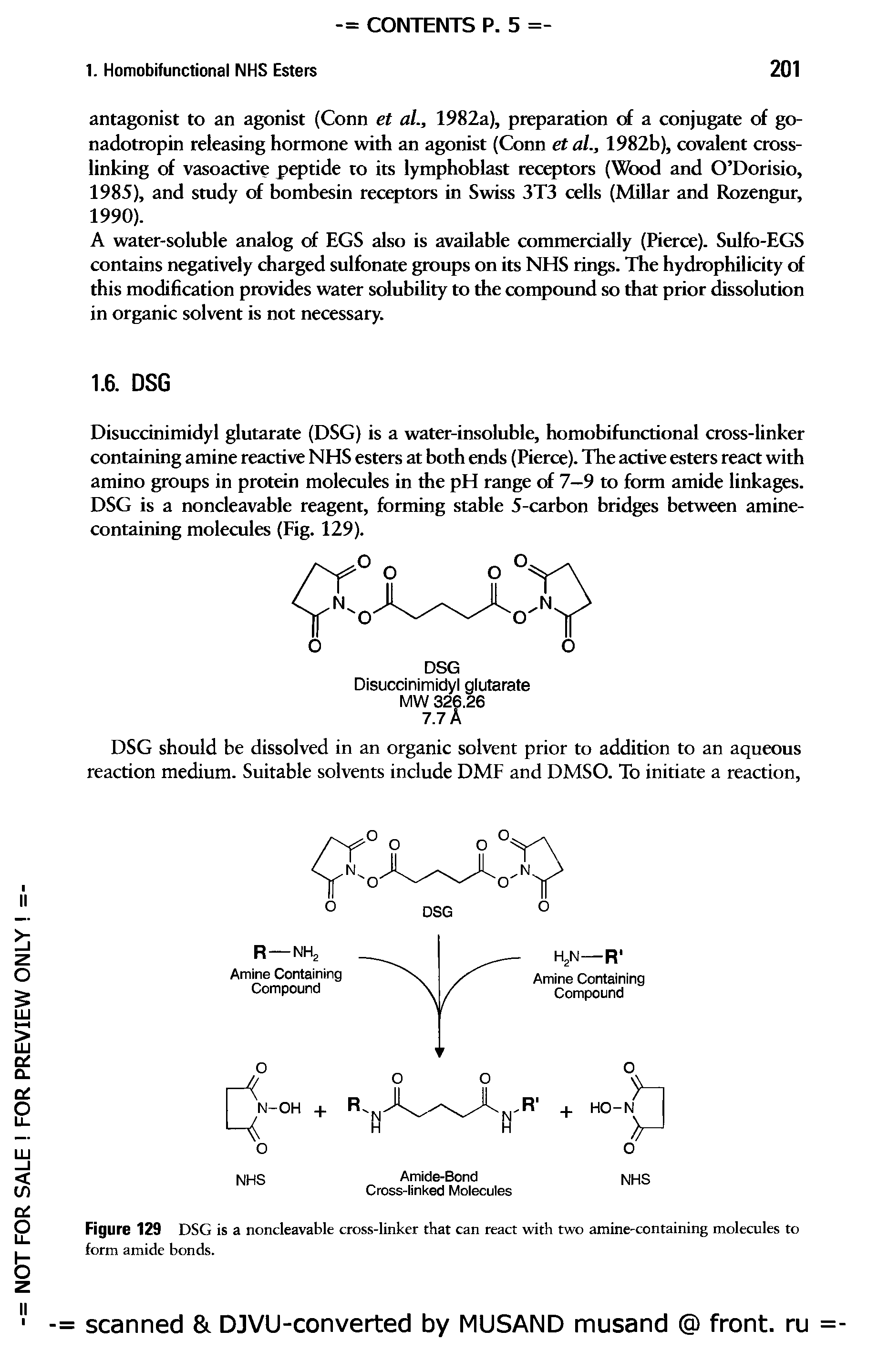 Figure 129 DSG is a noncleavable cross-linker that can react with two amine-containing molecules to form amide bonds.