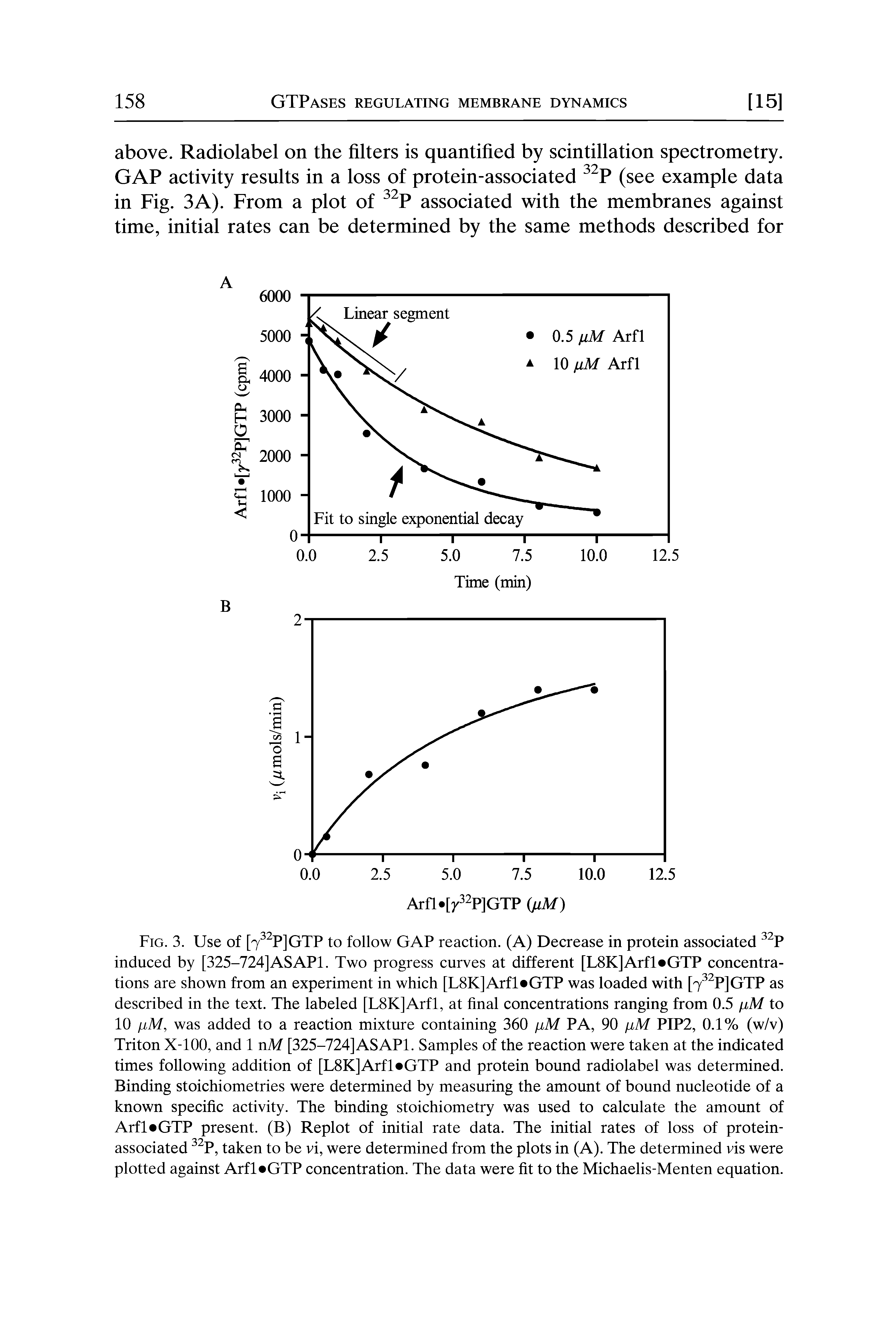 Fig. 3. Use of [7 P]GTP to follow GAP reaction. (A) Decrease in protein associated P induced by [325-724] AS API. Two progress curves at different [L8K]Arfl GTP concentrations are shown from an experiment in which [L8K]Arfl GTP was loaded with [7 P]GTP as described in the text. The labeled [L8K]Arfl, at final concentrations ranging from 0.5 ijlM to 10 iiM, was added to a reaction mixture containing 360 PA, 90 iiM PIP2, 0.1% (w/v) Triton X-100, and 1 nM [325-724] AS API. Samples of the reaction were taken at the indicated times following addition of [L8K]Arfl GTP and protein bound radiolabel was determined. Binding stoichiometries were determined by measuring the amount of bound nucleotide of a known specific activity. The binding stoichiometry was used to calculate the amount of Arfl GTP present. (B) Replot of initial rate data. The initial rates of loss of protein-associated P, taken to be vi, were determined from the plots in (A). The determined vis were plotted against Arfl GTP concentration. The data were fit to the Michaelis-Menten equation.