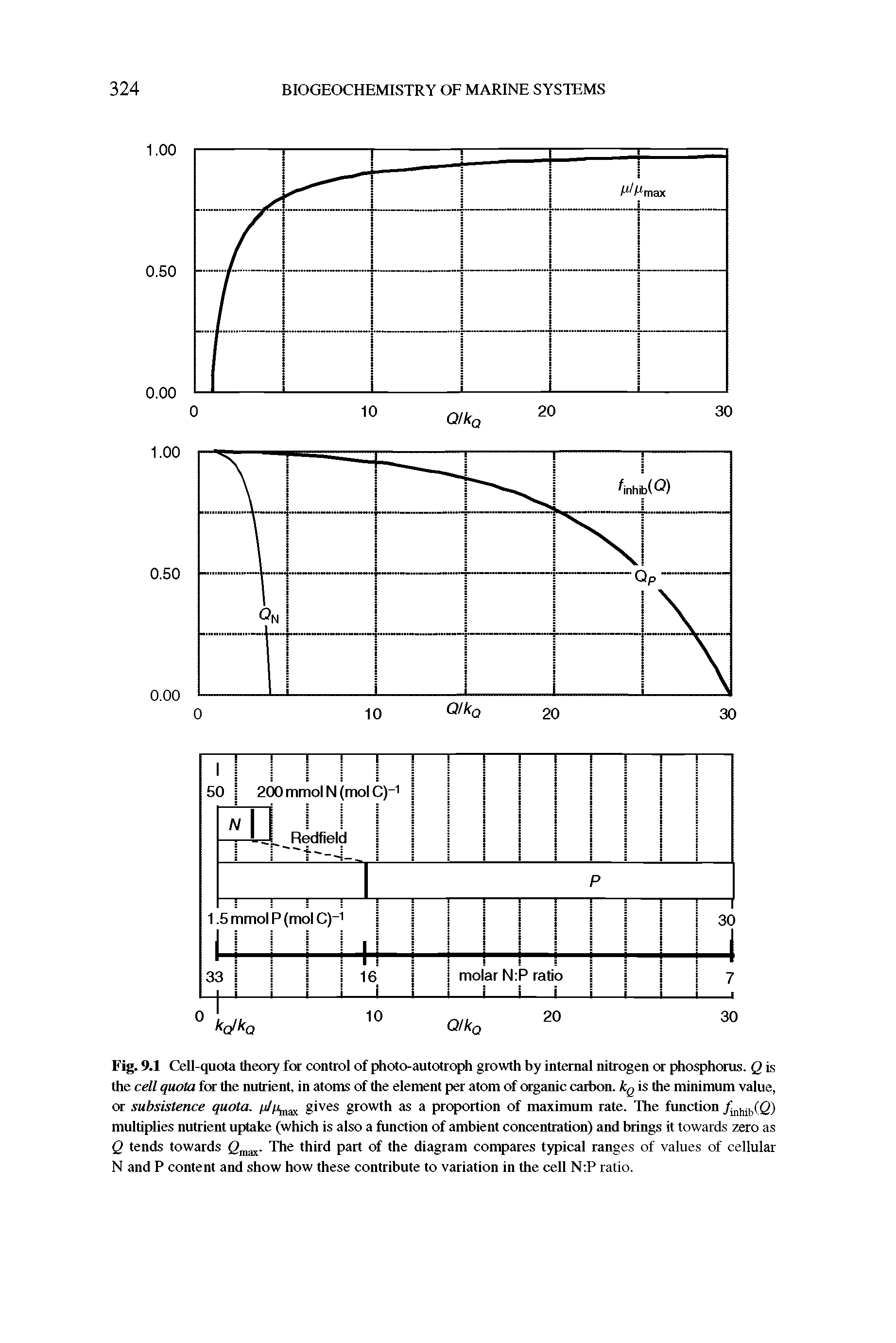 Fig. 9.1 Cell-quota theory for control of photo-autotroph growth by internal nitrogen or phosphorus. Q is the cell quota for the nutrient, in atoms of the element per atom of organic carbon. kfj is the minimum value, or subsistence quota. /////1IU1X gives growth as a proportion of maximum rate. The function 10) multiplies nutrient uptake (which is also a function of ambient concentration) and brings it towards zero as Q tends towards (i llax. The third part of the diagram compares typical ranges of values of cellular N and P content and show how these contribute to variation in the cell N P ratio.