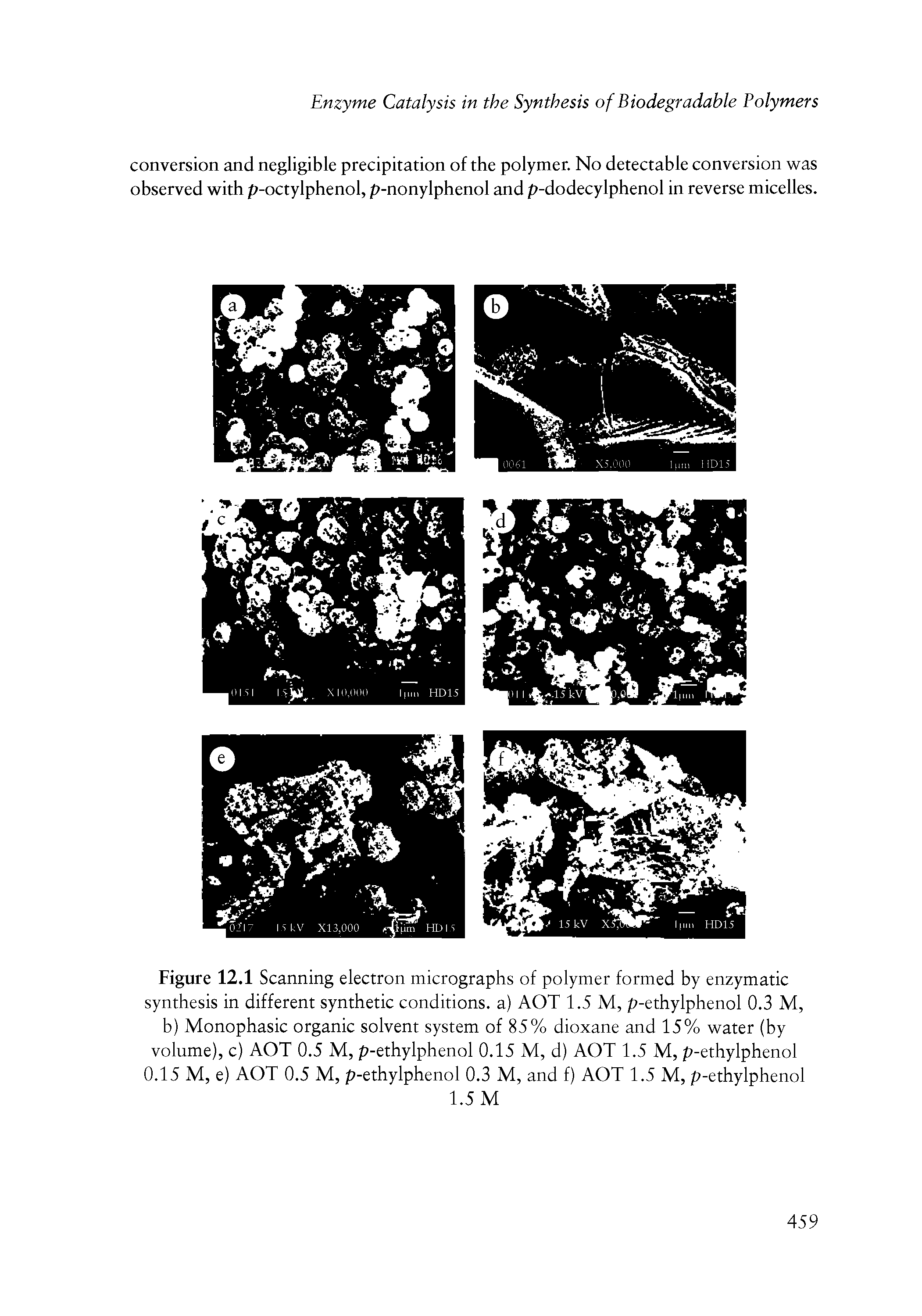 Figure 12.1 Scanning electron micrographs of polymer formed by enzymatic synthesis in different synthetic conditions, a) AOT 1.5 M, p-ethylphenol 0.3 M, b) Monophasic organic solvent system of 85% dioxane and 15% water (by volume), c) AOT 0.5 M, p-ethylphenol 0.15 M, d) AOT 1.5 M, p-ethylphenol 0.15 M, e) AOT 0.5 M, p-ethylphenol 0.3 M, and f) AOT 1.5 M, p-ethylphenol...