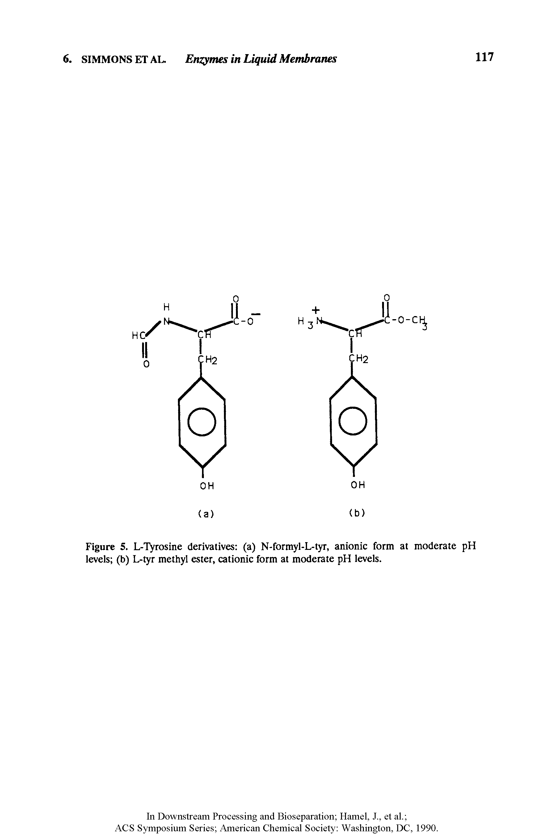 Figure 5. L-Tyrosine derivatives (a) N-formyl-L-tyr, anionic form at moderate pH levels (b) L-tyr methyl ester, cationic form at moderate pH levels.
