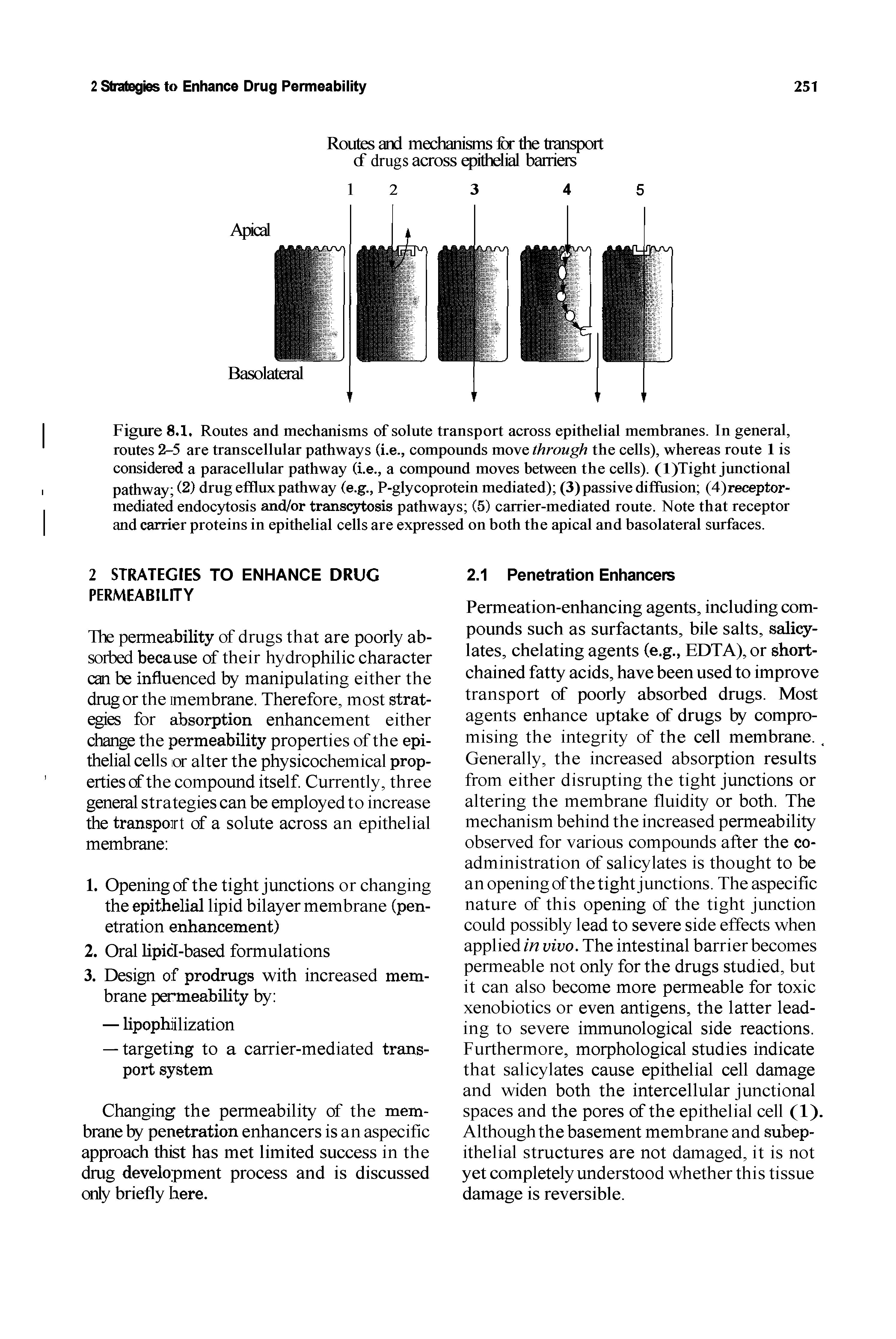 Figure 8,1, Routes and mechanisms of solute transport across epithelial membranes. In general, routes 2-5 are transcellular pathways (i.e., compounds move through the cells), whereas route 1 is considered a paracellular pathway (i.e., a compound moves between the cells). (l)Tight junctional pathway (2) drug efflux pathway (e.g., P-glycoprotein mediated) (3) passive diffiision (4)receptor-mediated endocytosis and/or transc3dosis pathways (5) carrier-mediated route. Note that receptor and carrier proteins in epithelial cells are expressed on both the apical and basolateral surfaces.