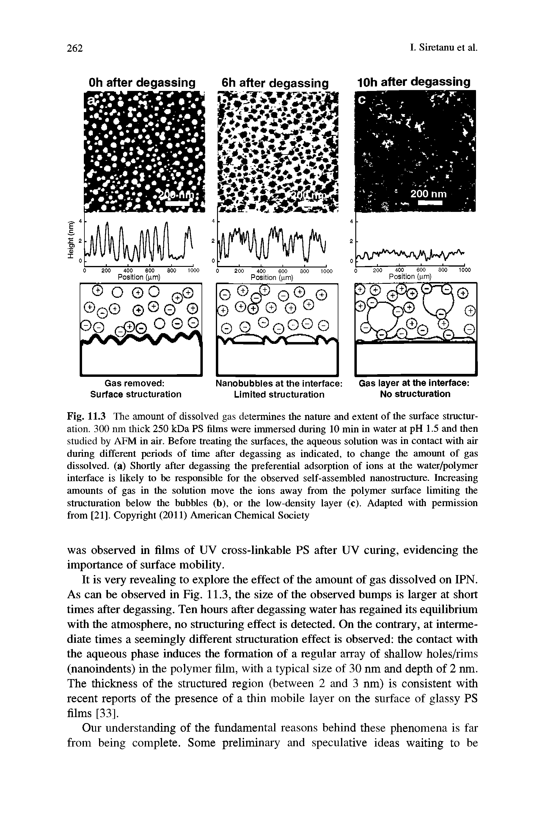 Fig. 11.3 The amount of dissolved gas determines the nature and extent of the surface structuration. 300 nm thick 250 kDa PS films were immersed during 10 min in water at pH 1.5 and then studied by AFM in air. Before treating the surfaces, the aqueous soiutirai was in contact with air during different periods of time after degassing as indicated, to change the amount of gas dissolved, (a) Shortly after degassing the preferential adsorption of ions at the water/polymer interface is likely to be responsible for the observed self-assembled nanostructure. Increasing amounts of gas in the solution move the ions away from the polymer surface limiting the structuration below the bubbles (b), or the low-density layer (c). Adapted with permission from [21]. Copyright (2011) American Chemical Society...